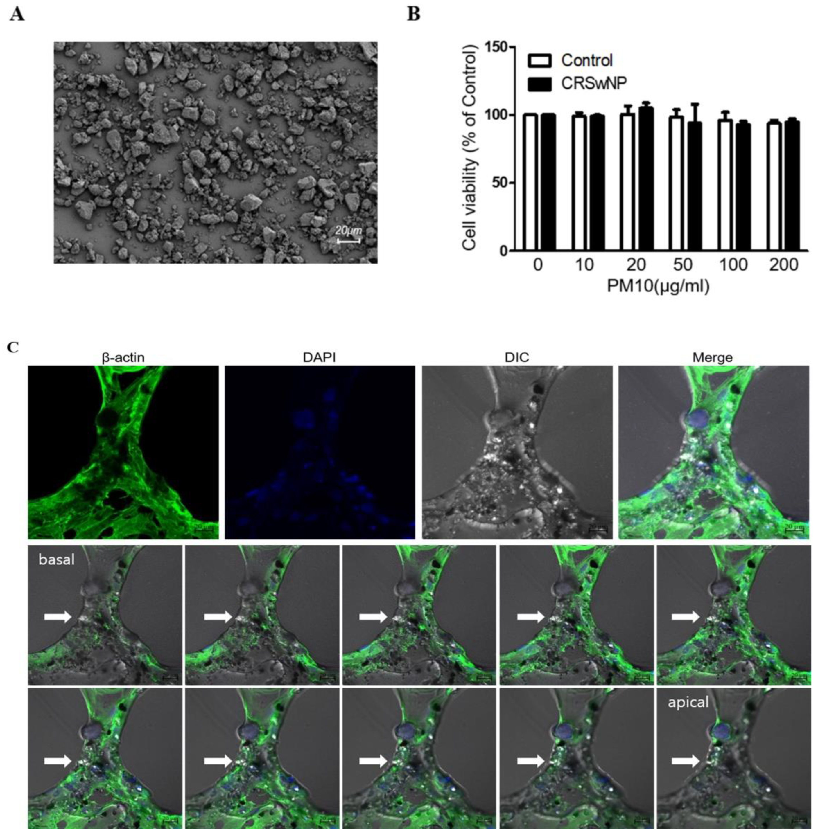 Ijms 23 01018 g001 Ijms 23 01018 g001