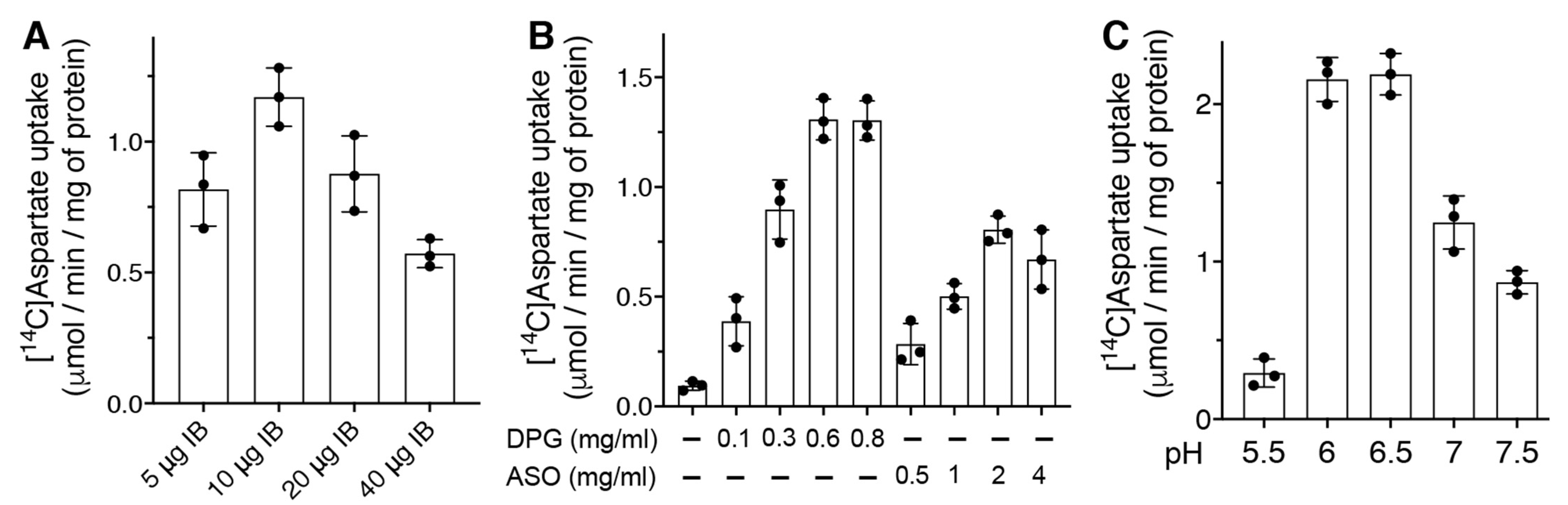 Ijms 23 01020 g002 Ijms 23 01020 g002