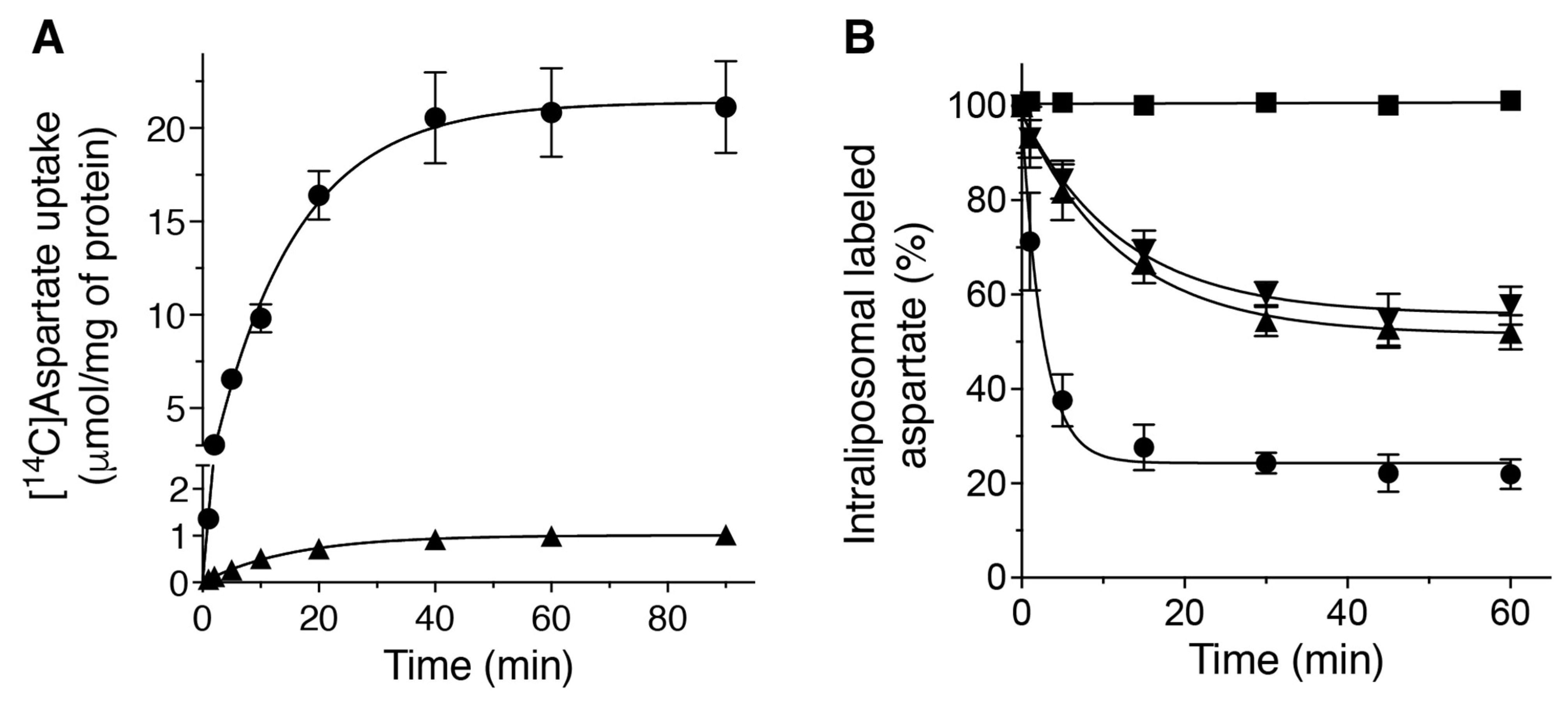 Ijms 23 01020 g003 Ijms 23 01020 g003