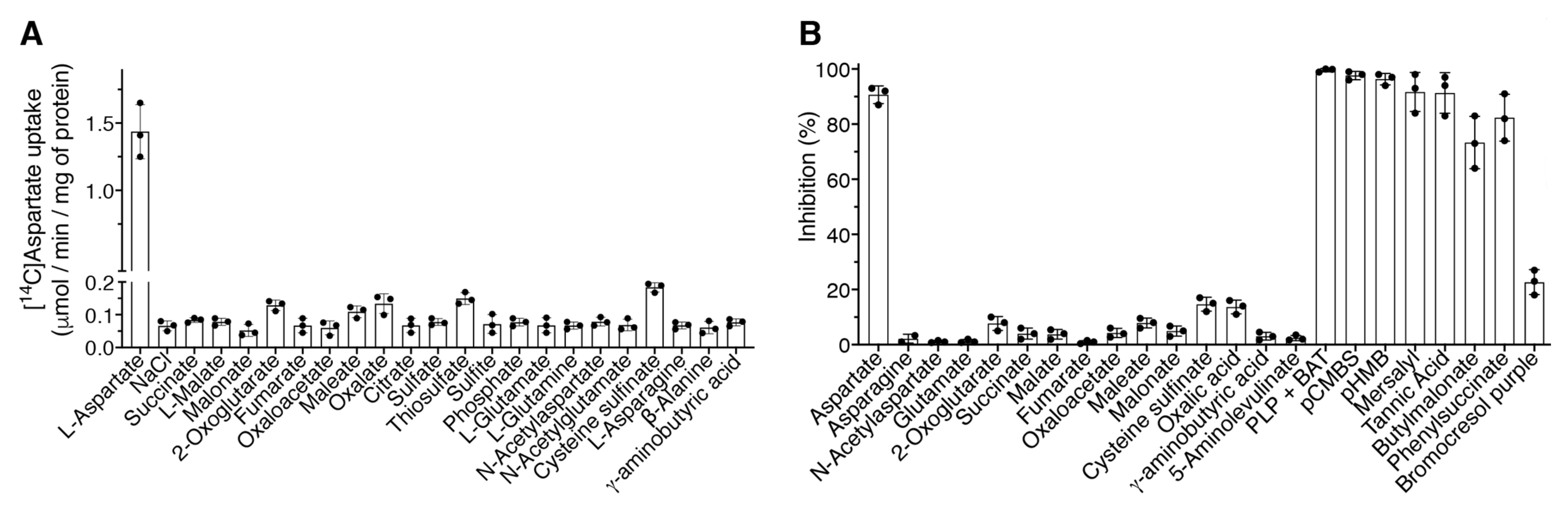 Ijms 23 01020 g004 Ijms 23 01020 g004