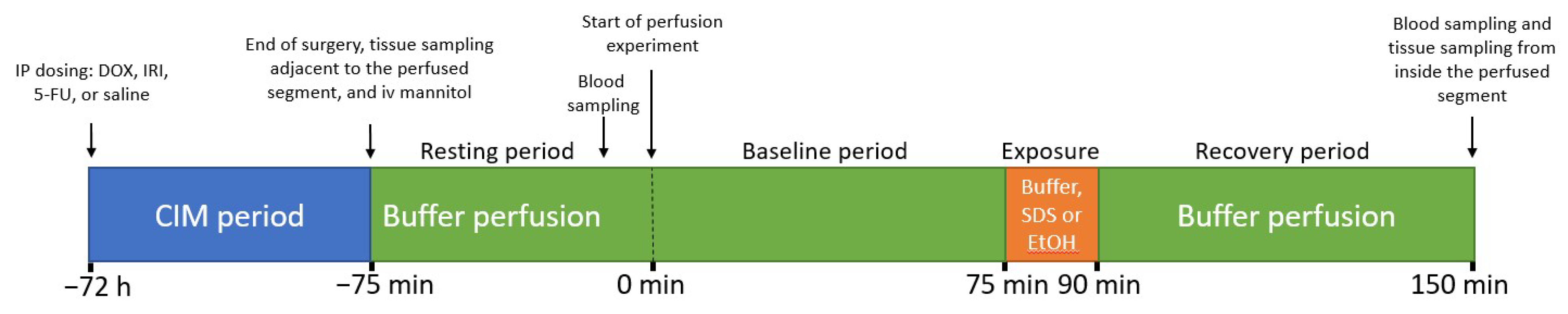 Ijms 23 01021 g007 Ijms 23 01021 g007