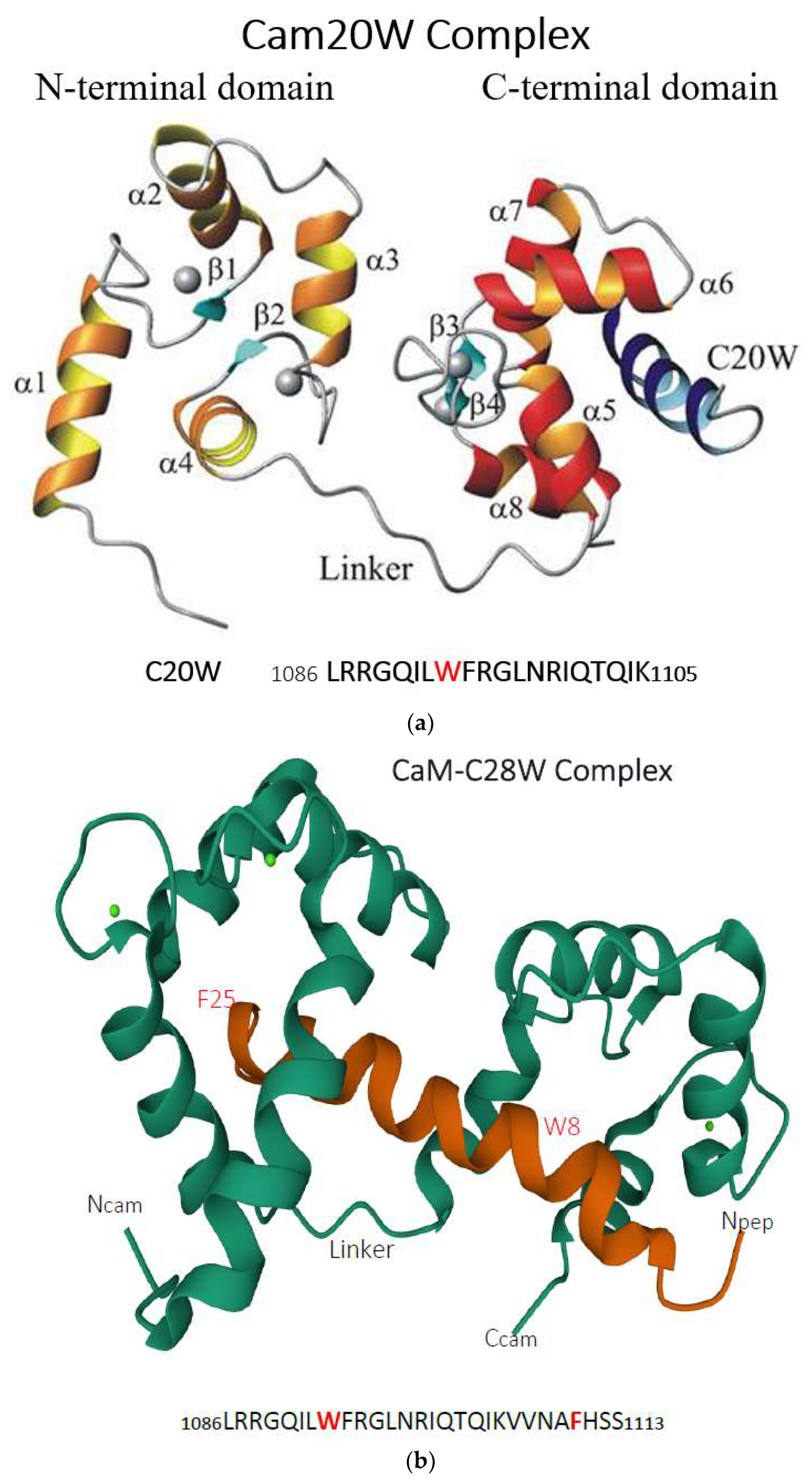 Ijms 23 01027 g005 550