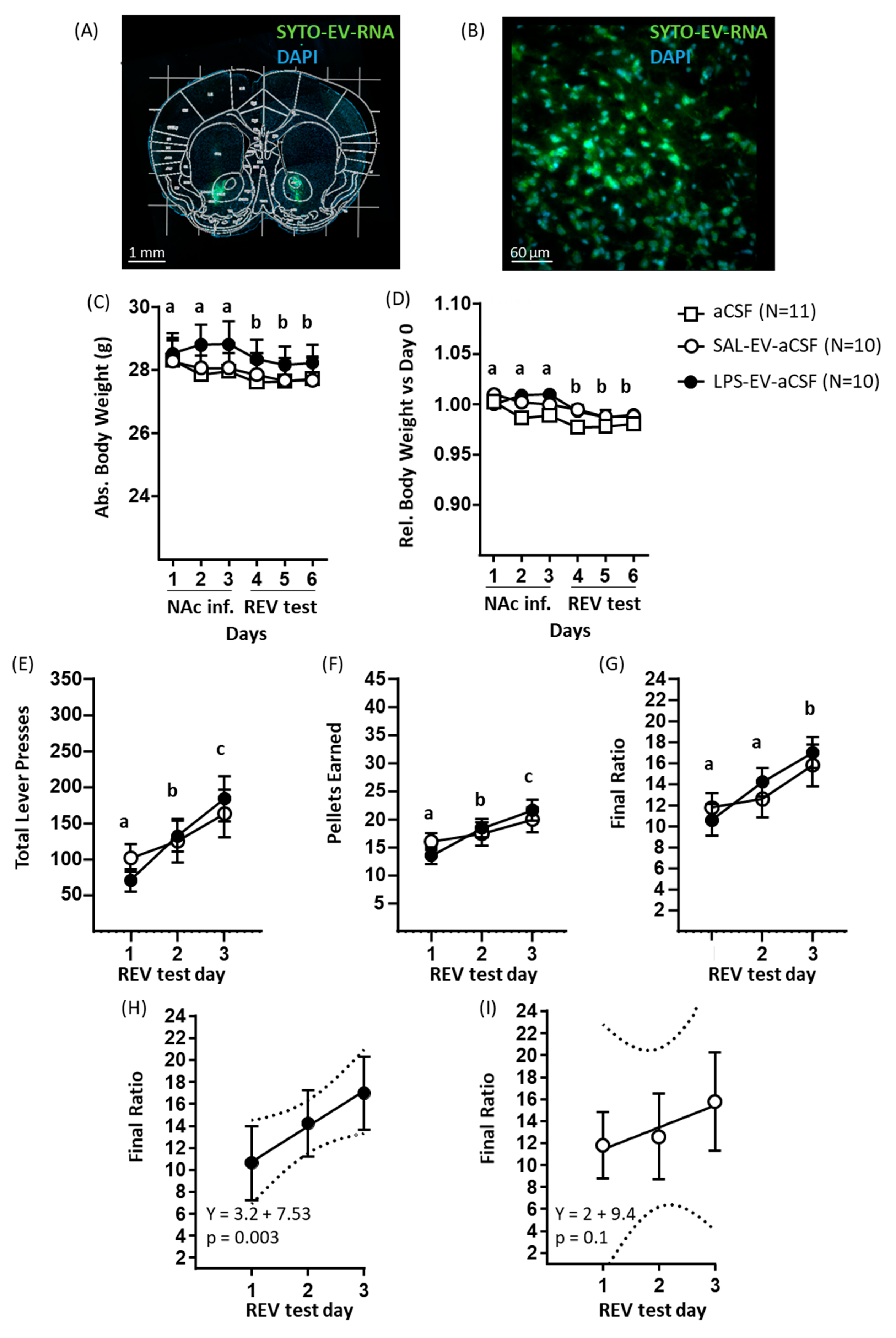 Ijms 23 01028 g004 550