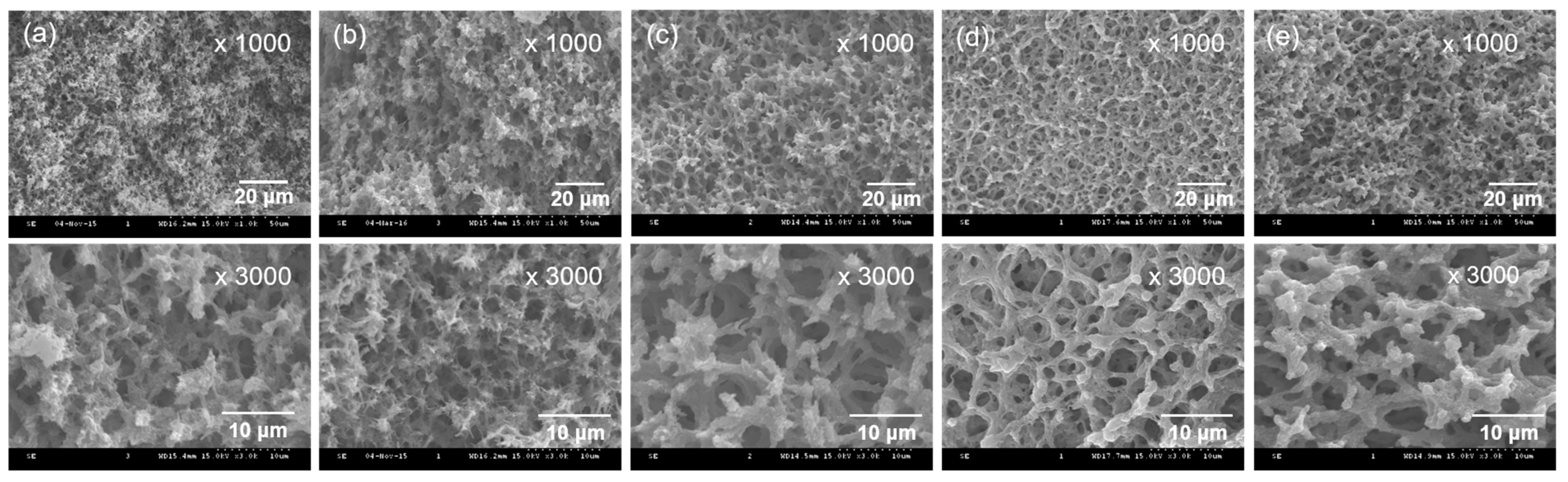 Ijms 23 01035 g002 550