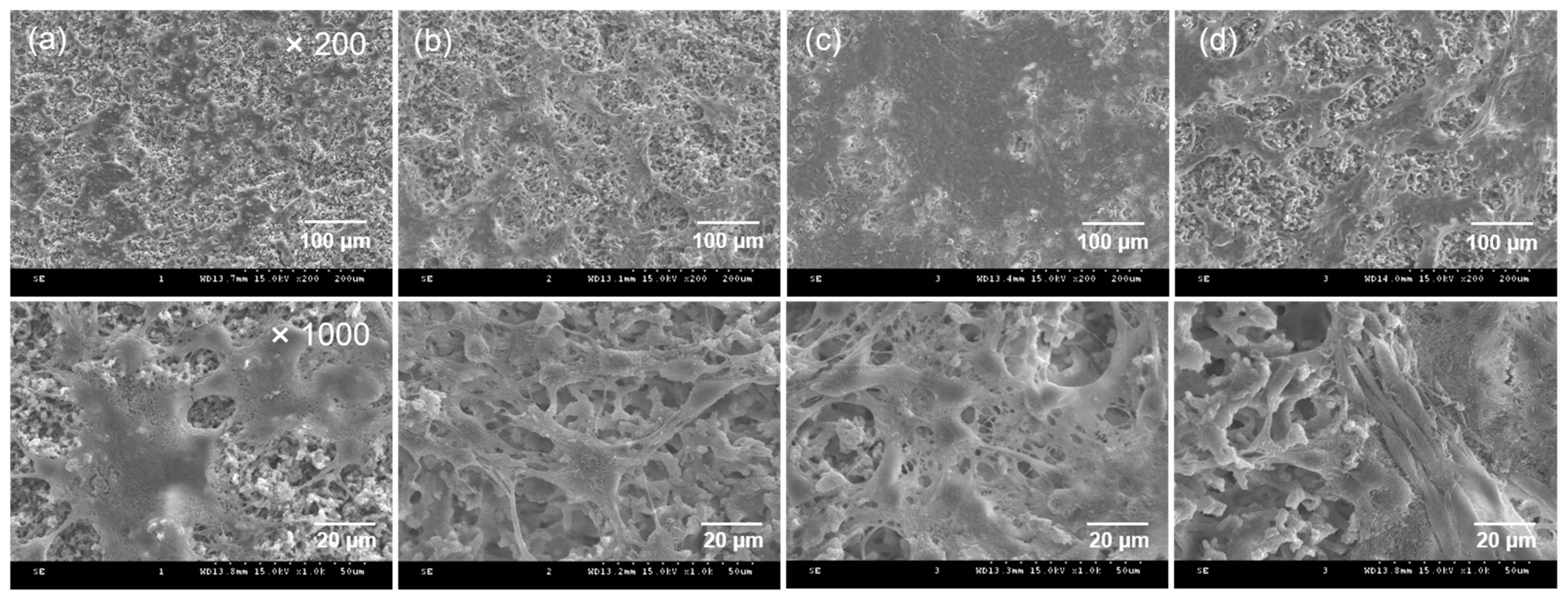 Ijms 23 01035 g005 550