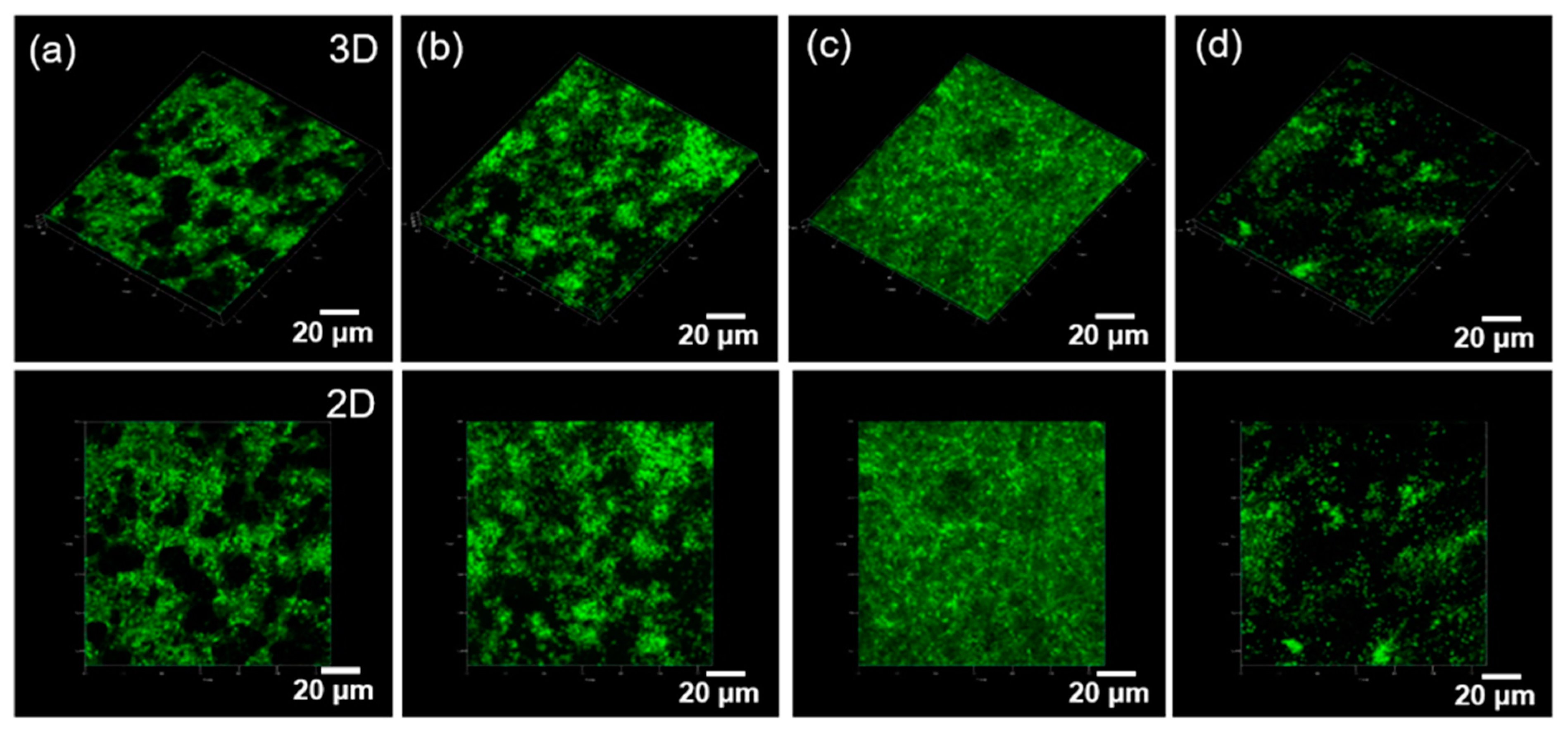 Ijms 23 01035 g006 550