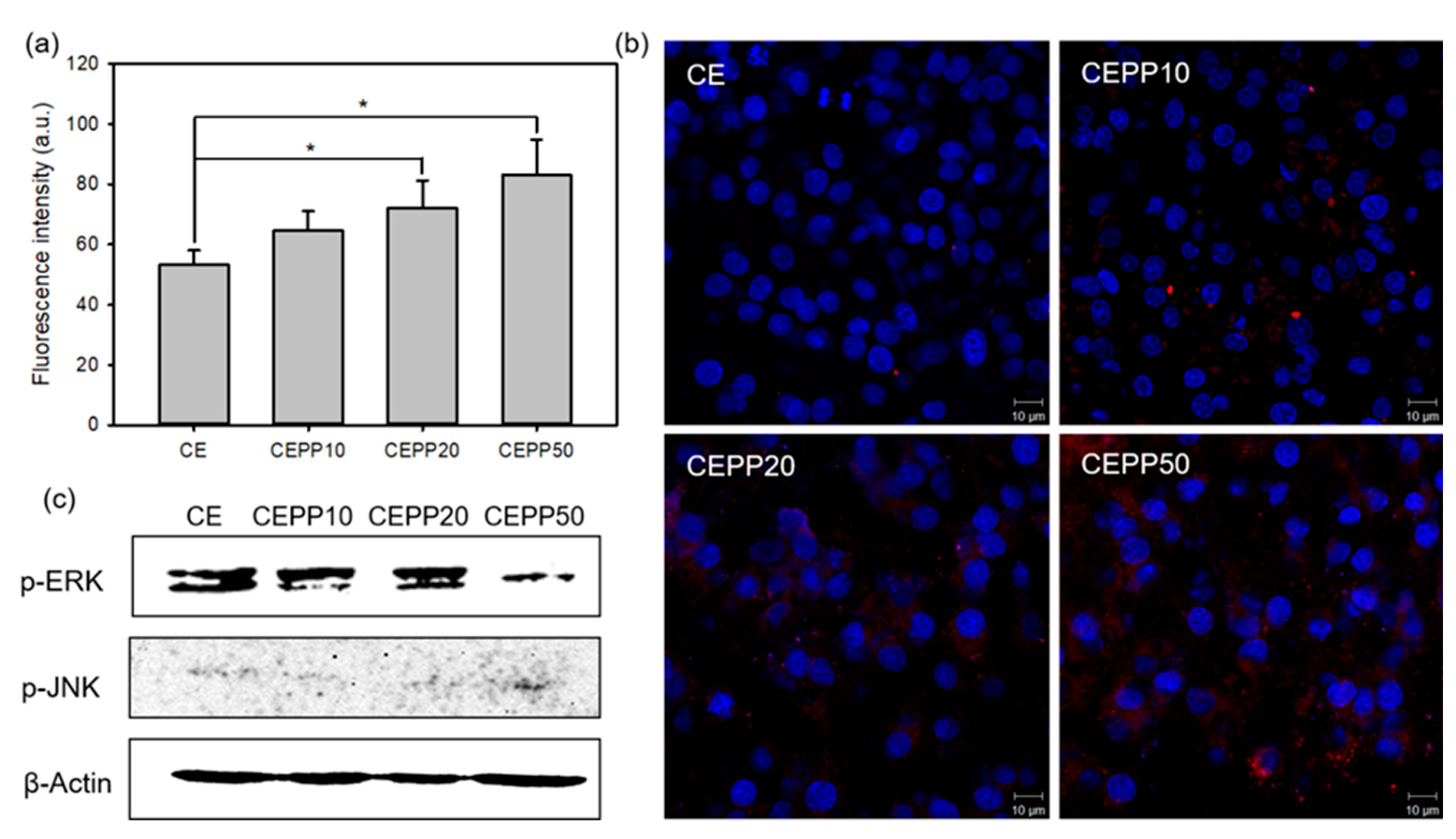 Ijms 23 01035 g007 550