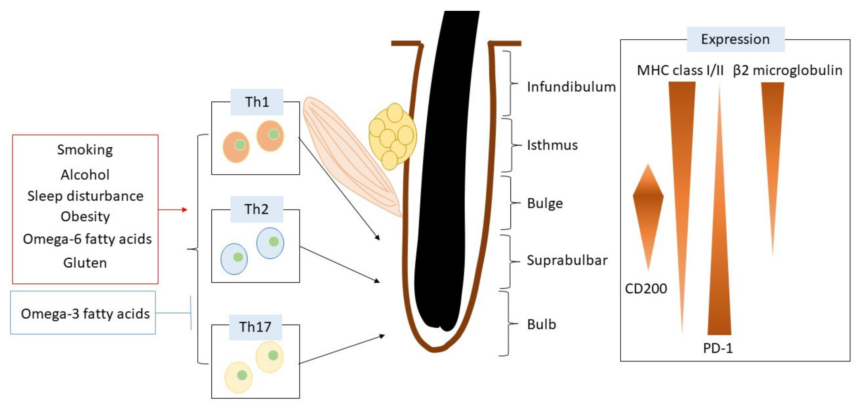 IJMS Free Full Text Lifestyle Factors Involved In The Pathogenesis ijms-free-full-text-lifestyle-factors-involved-in-the-pathogenesis