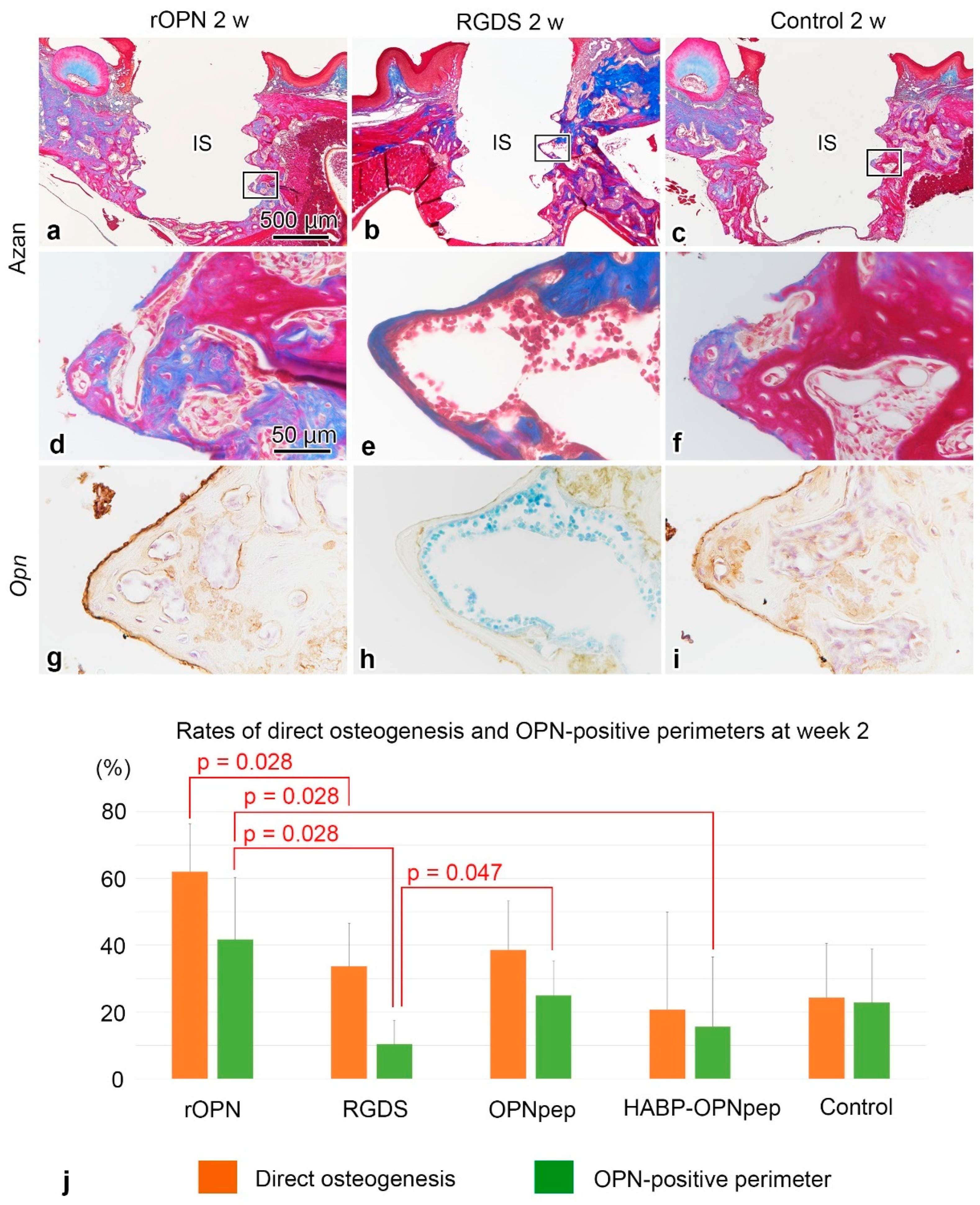 Ijms 23 01039 g002 550