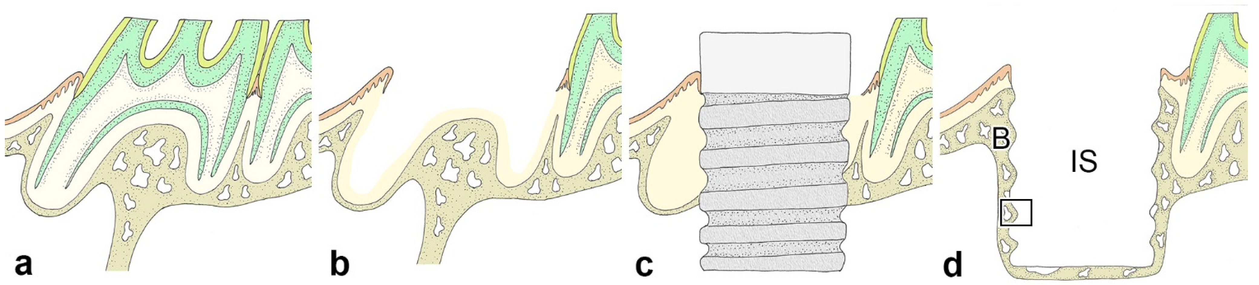 Ijms 23 01039 g005 550