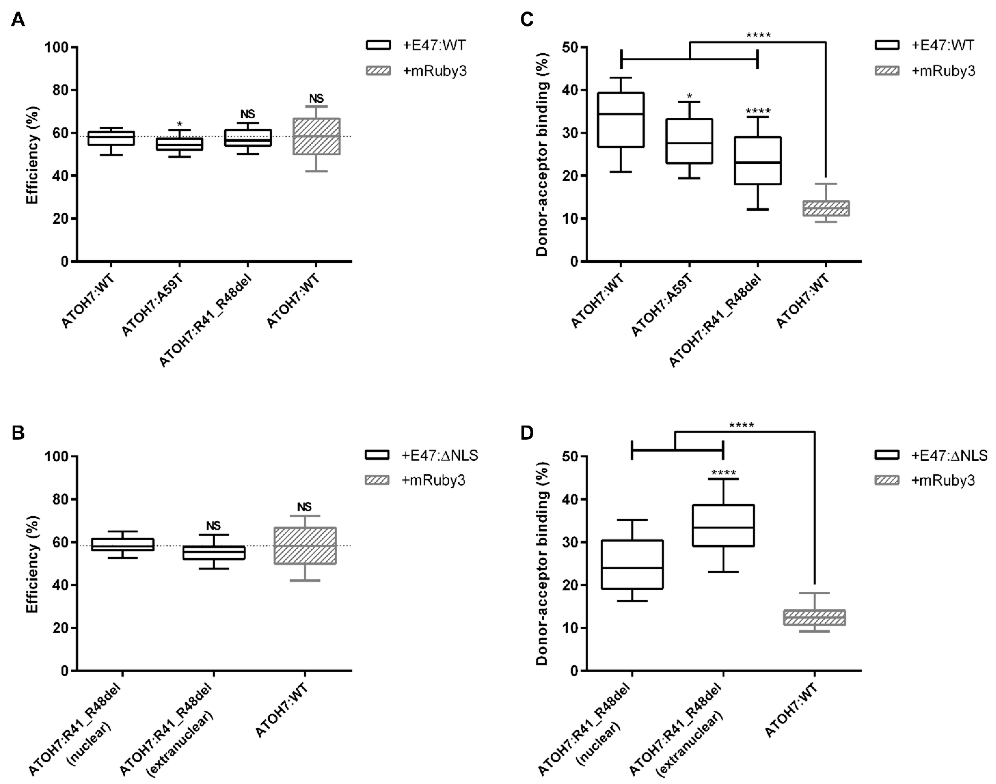 Ijms 23 01053 g004 Ijms 23 01053 g004