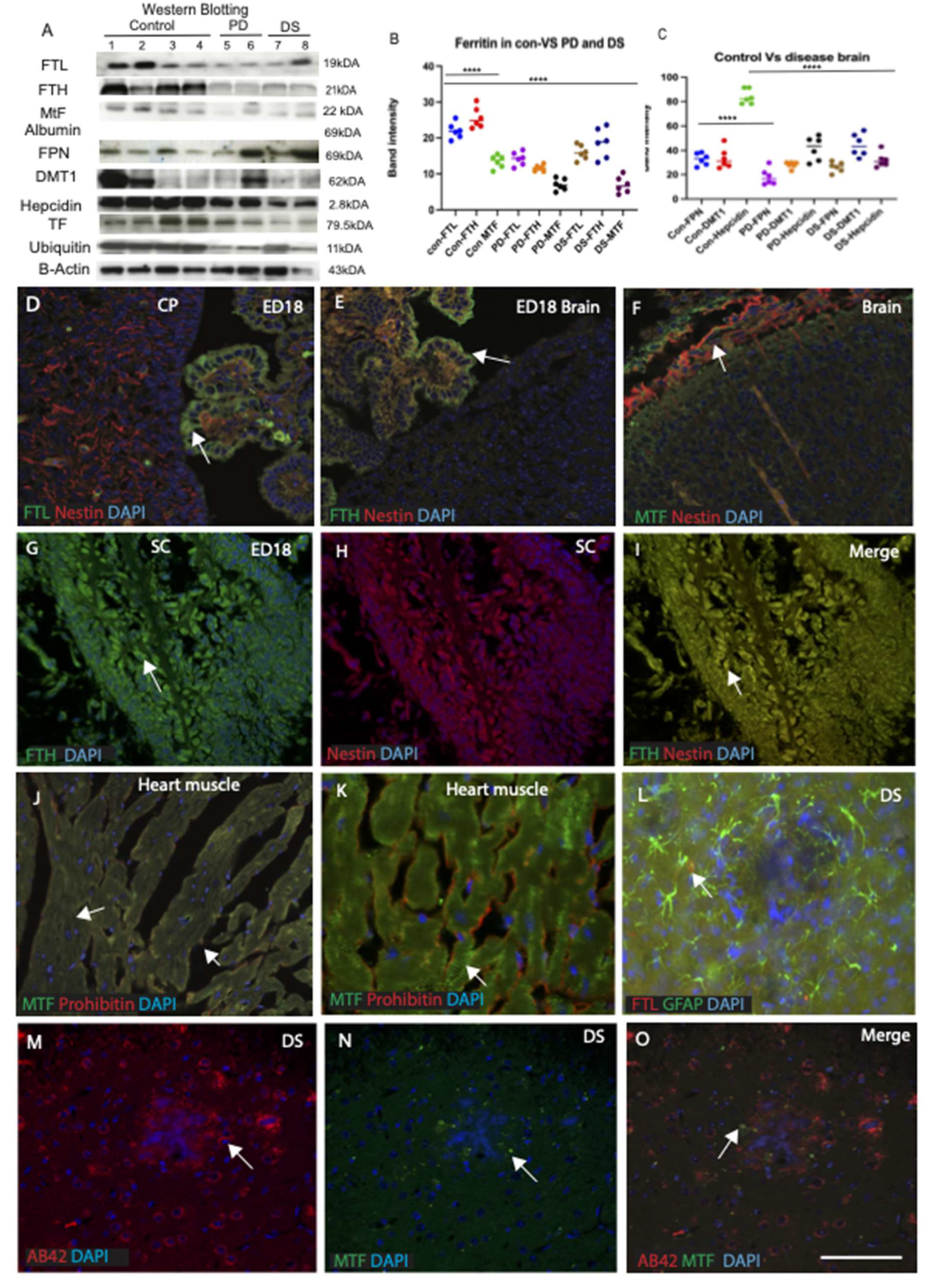 Ijms 23 01060 g003 Ijms 23 01060 g003