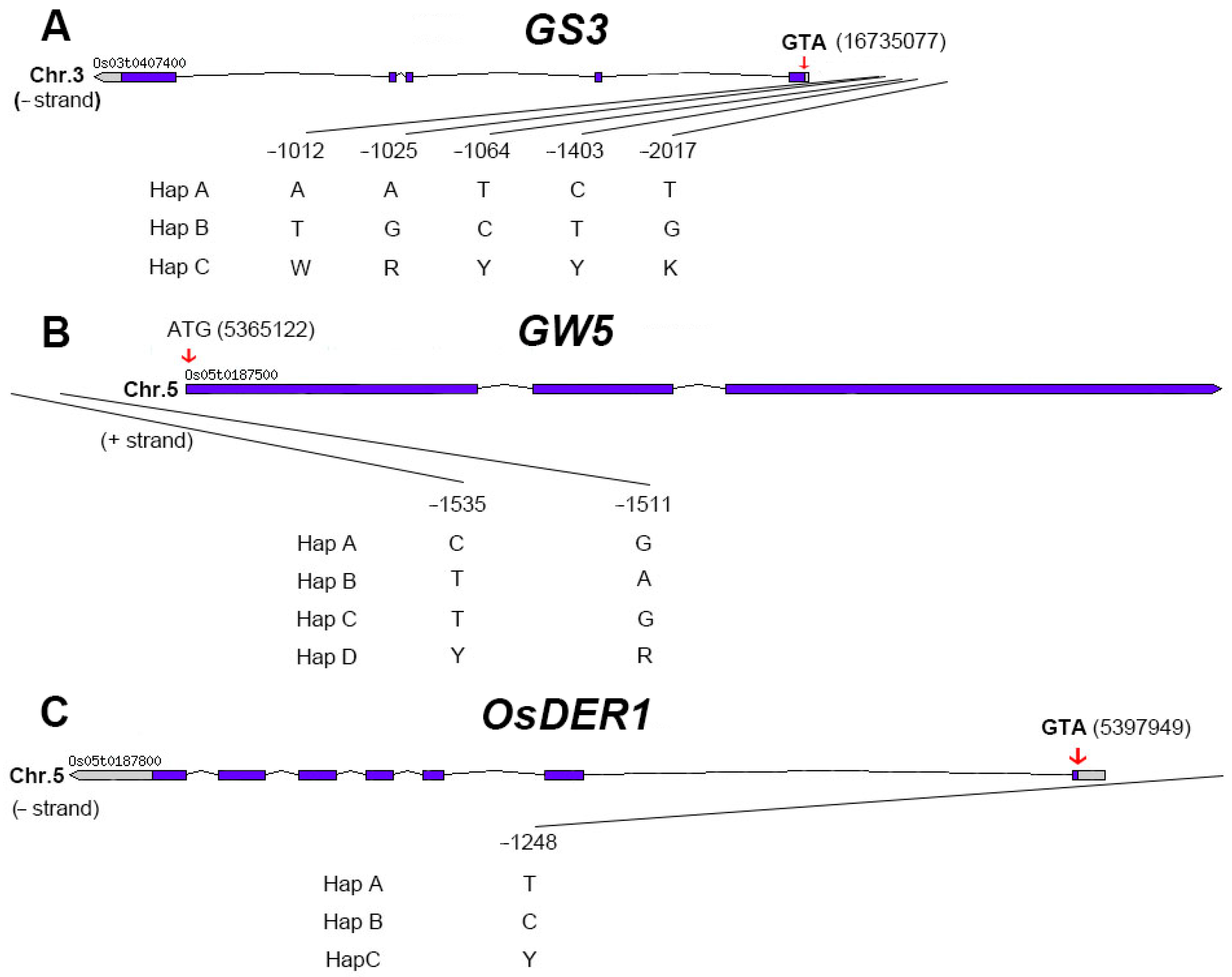 Ijms 23 01065 g007 550
