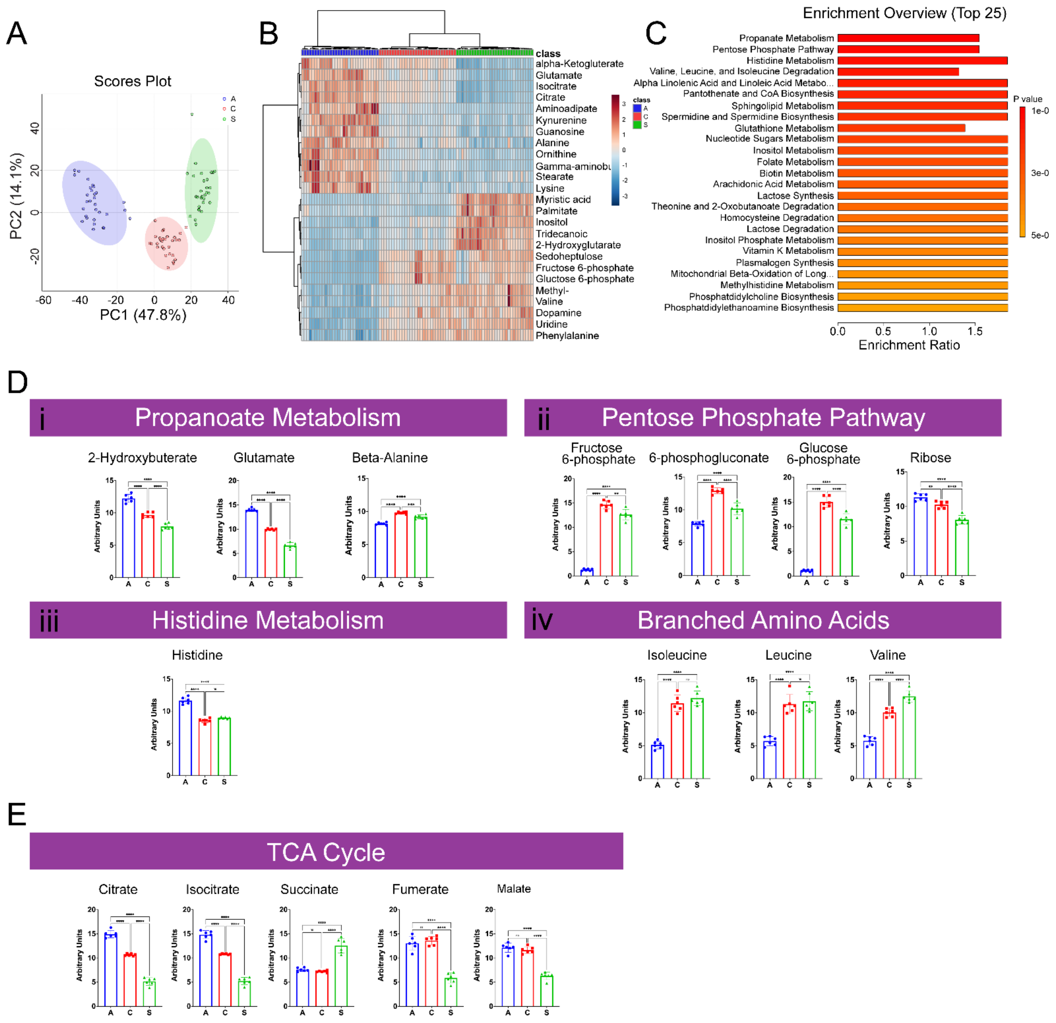 Ijms 23 01067 g002 Ijms 23 01067 g002