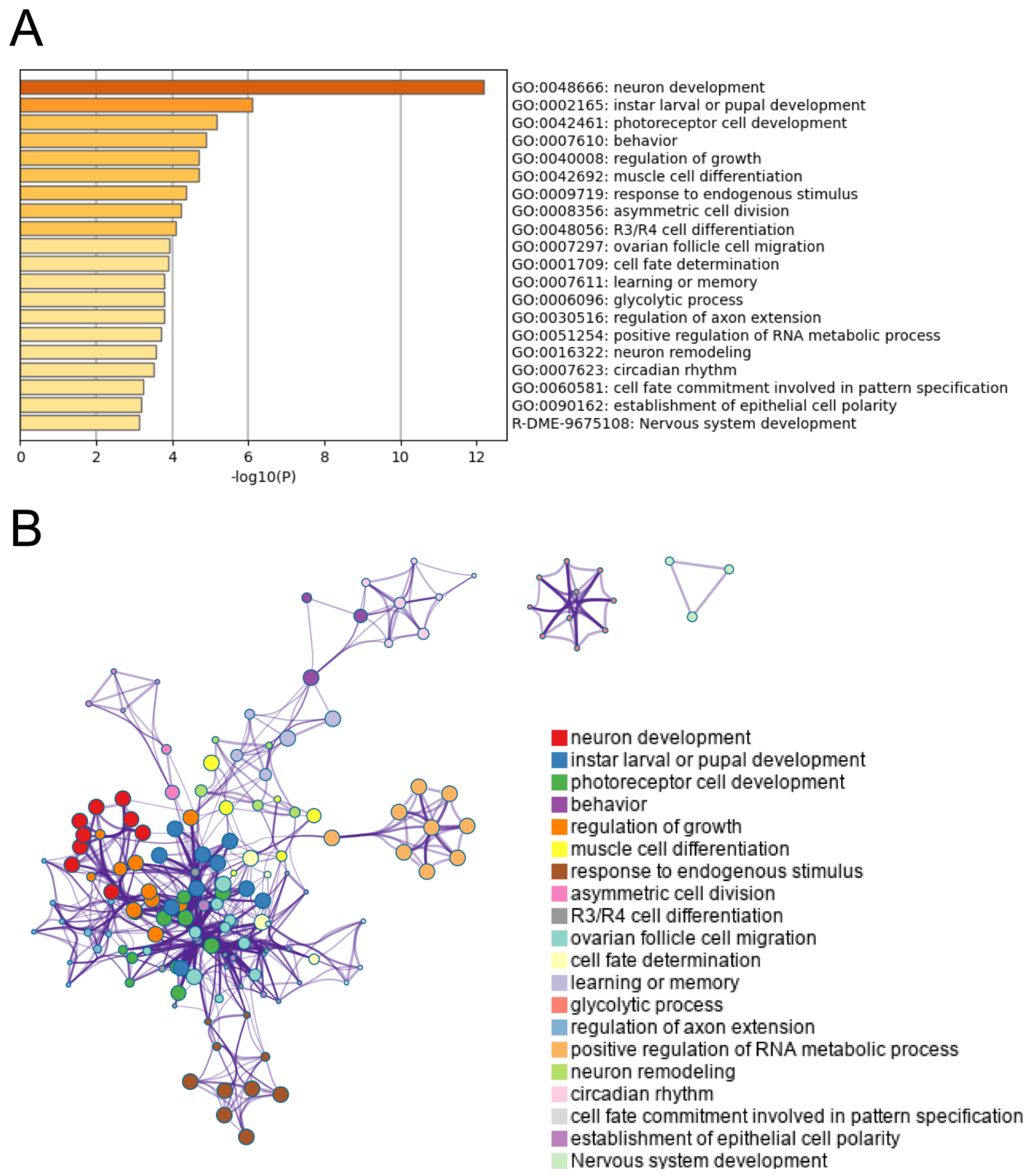 Ijms 23 01067 g005 Ijms 23 01067 g005