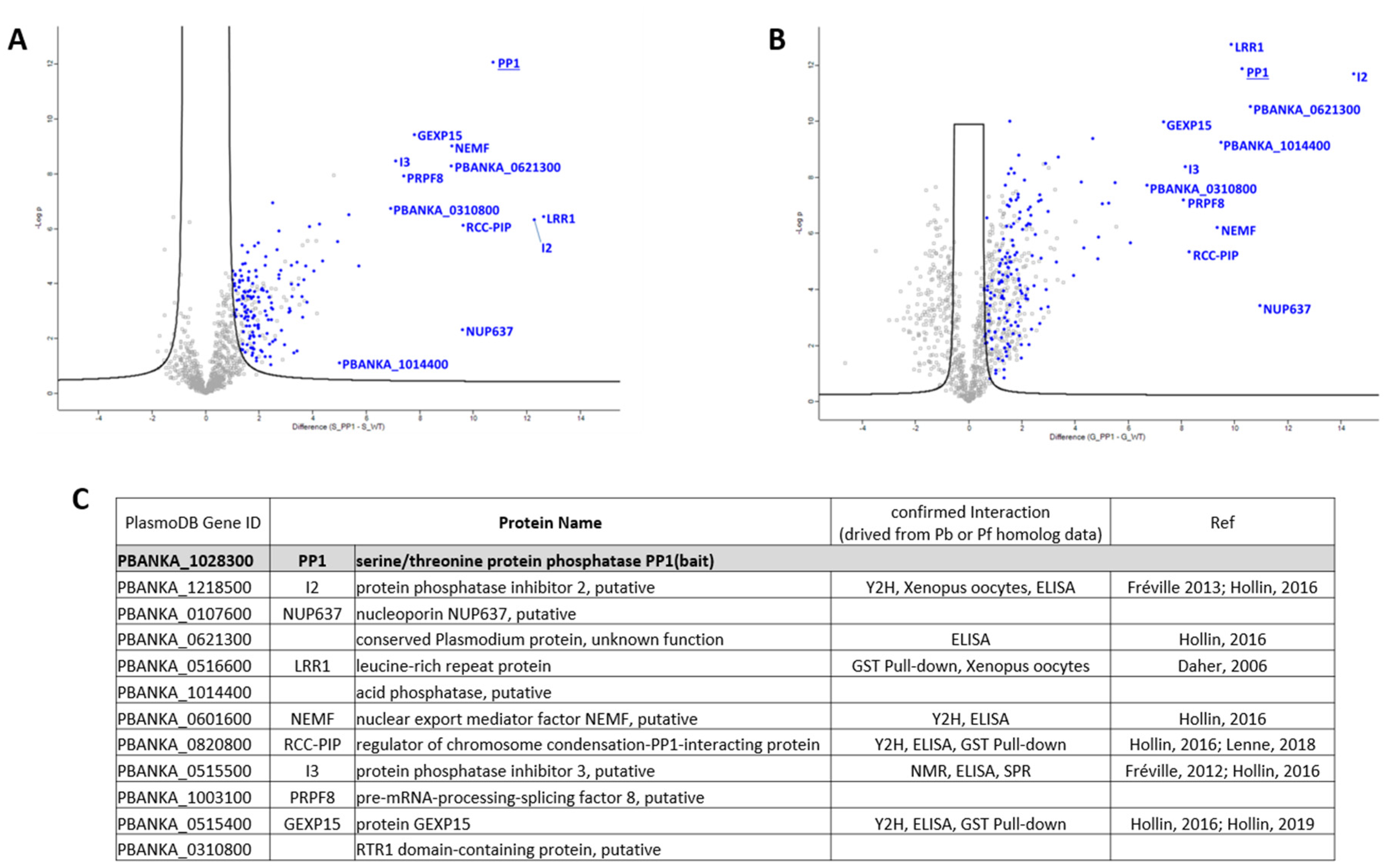 Ijms 23 01069 g002 550