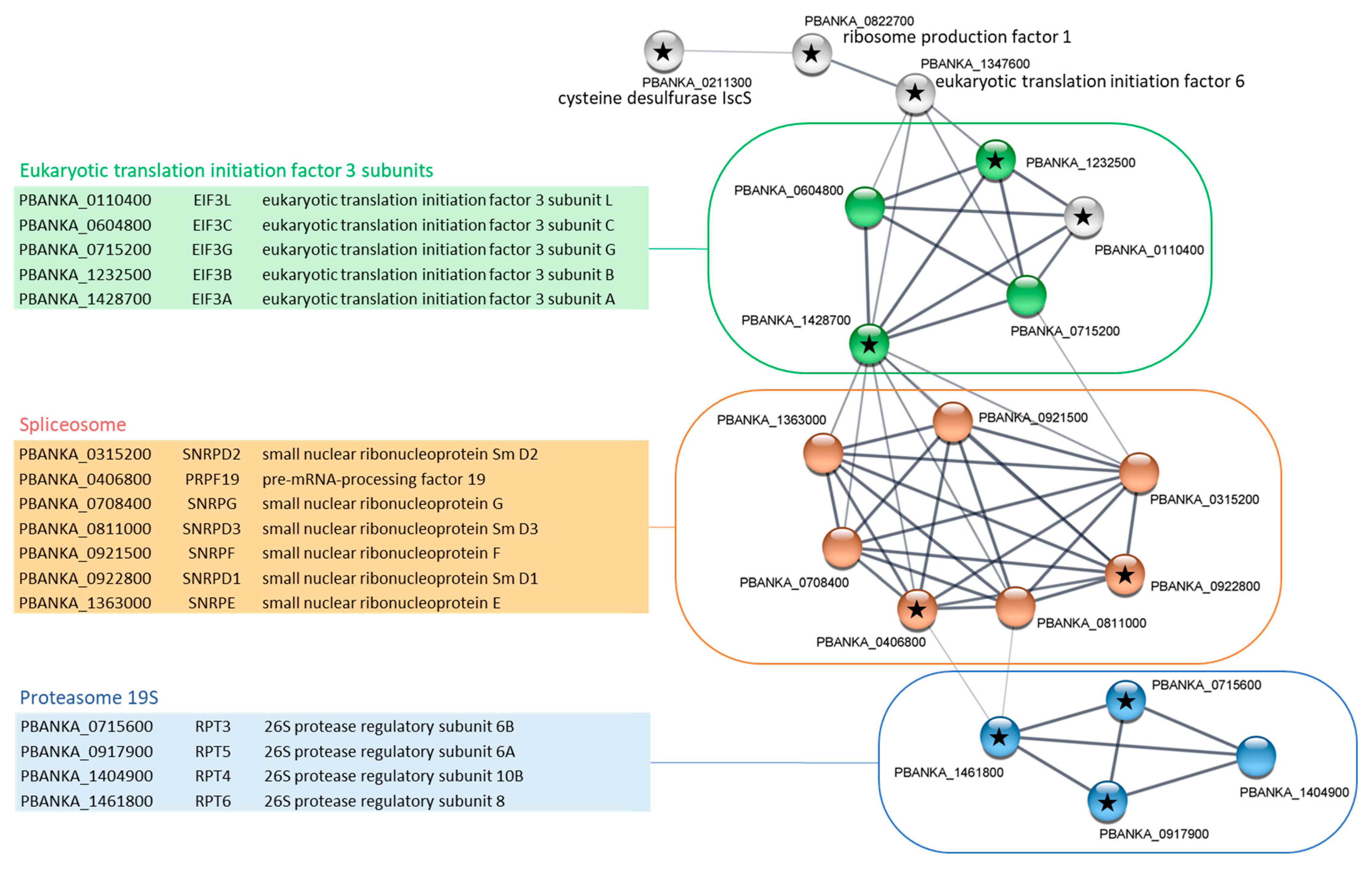 Ijms 23 01069 g003 550