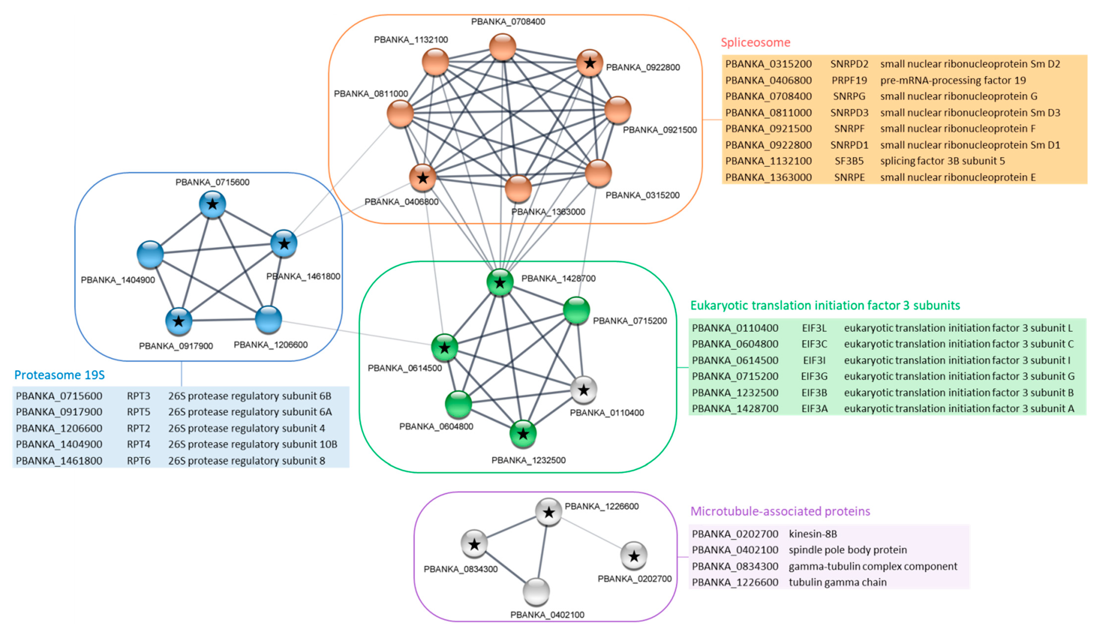 Ijms 23 01069 g004 550