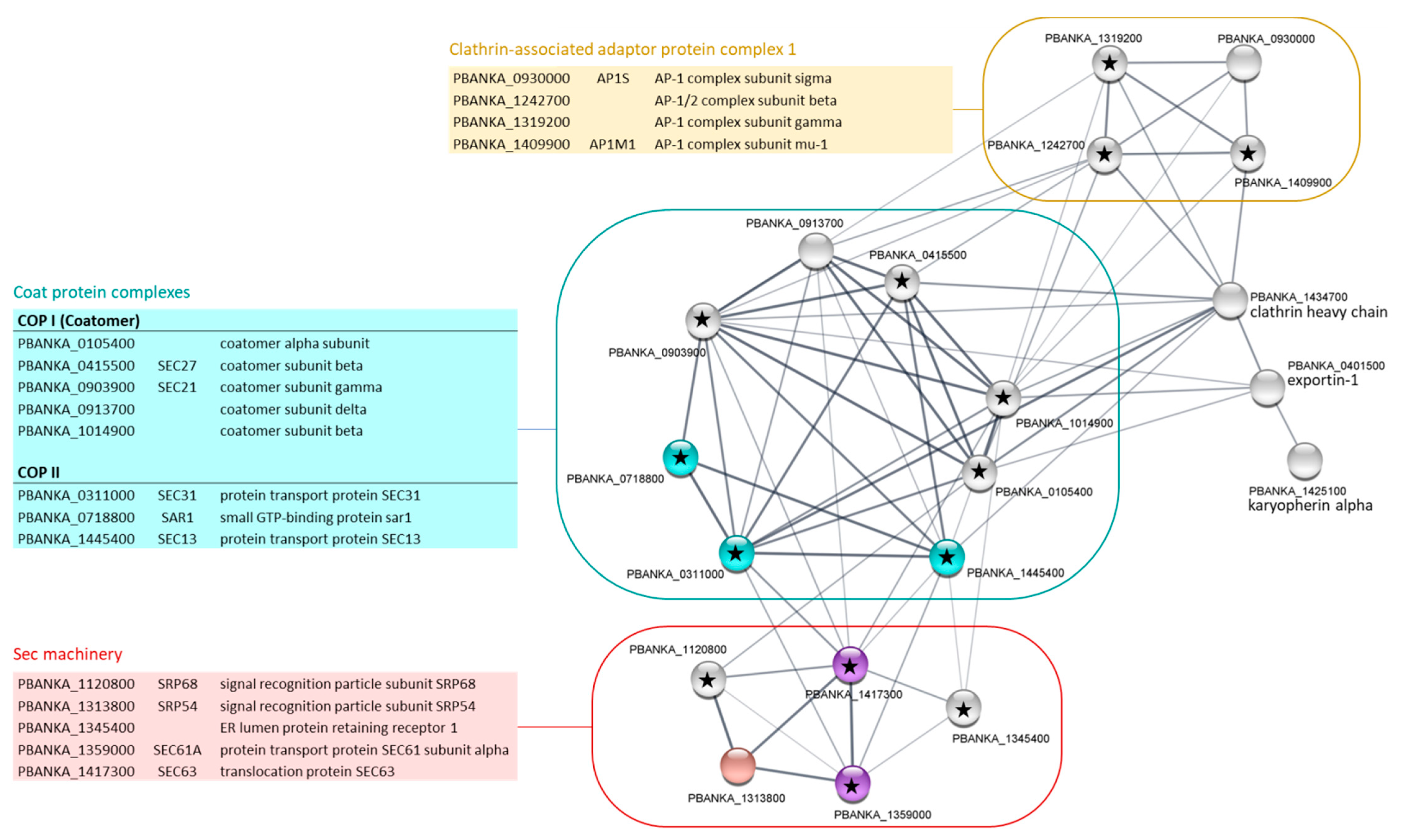 Ijms 23 01069 g005 550