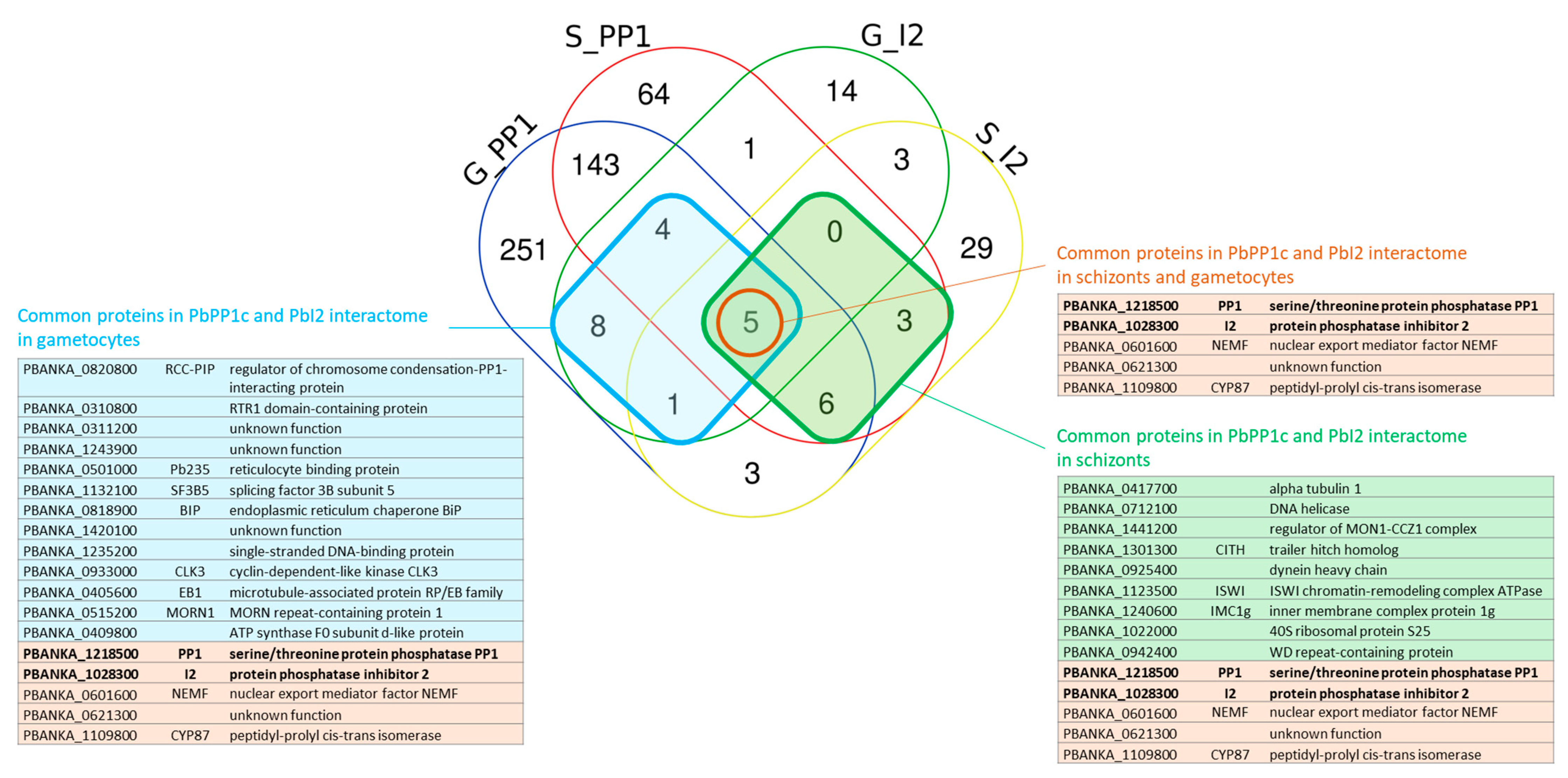 Ijms 23 01069 g006 550
