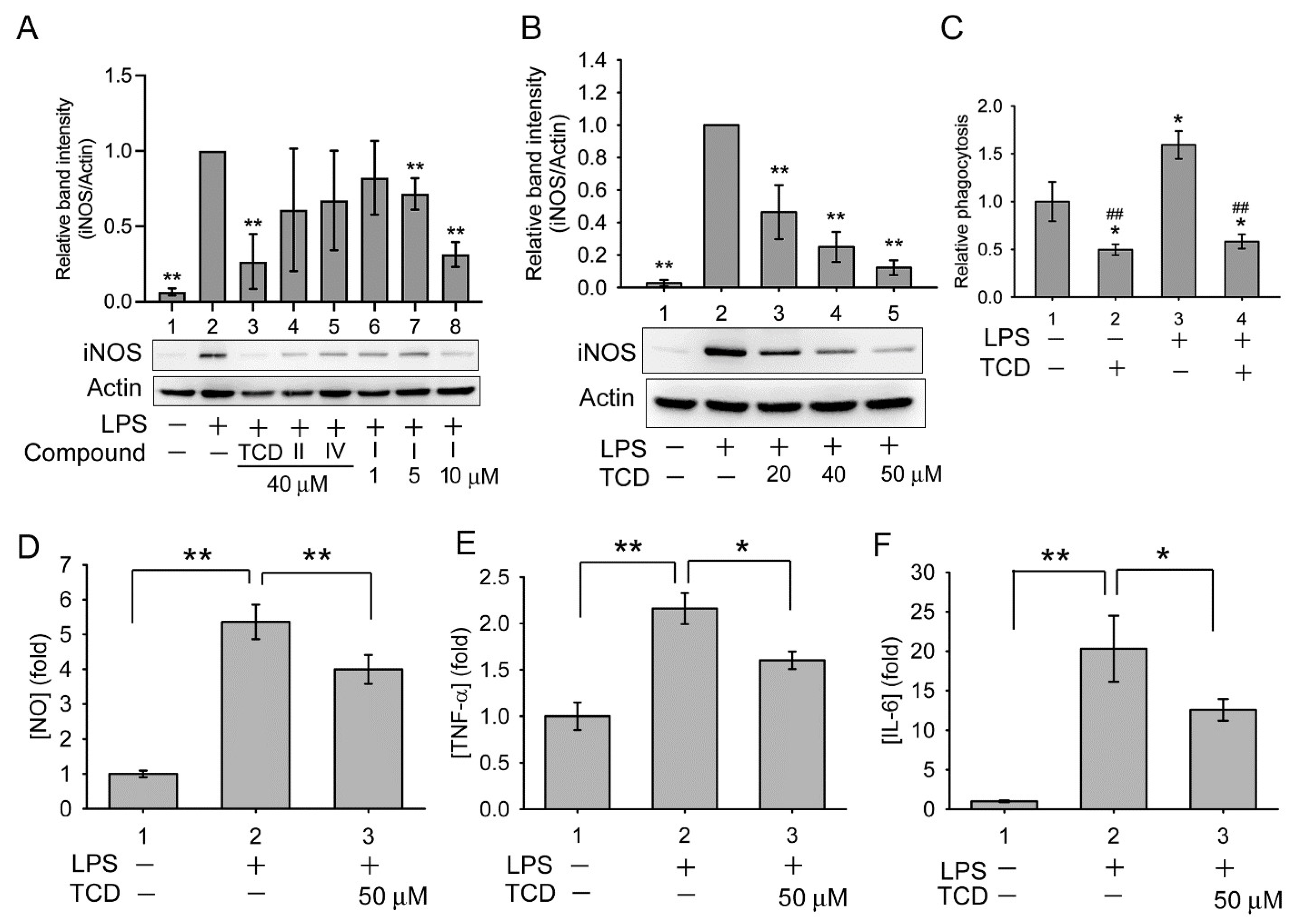 Ijms 23 01071 g005 550