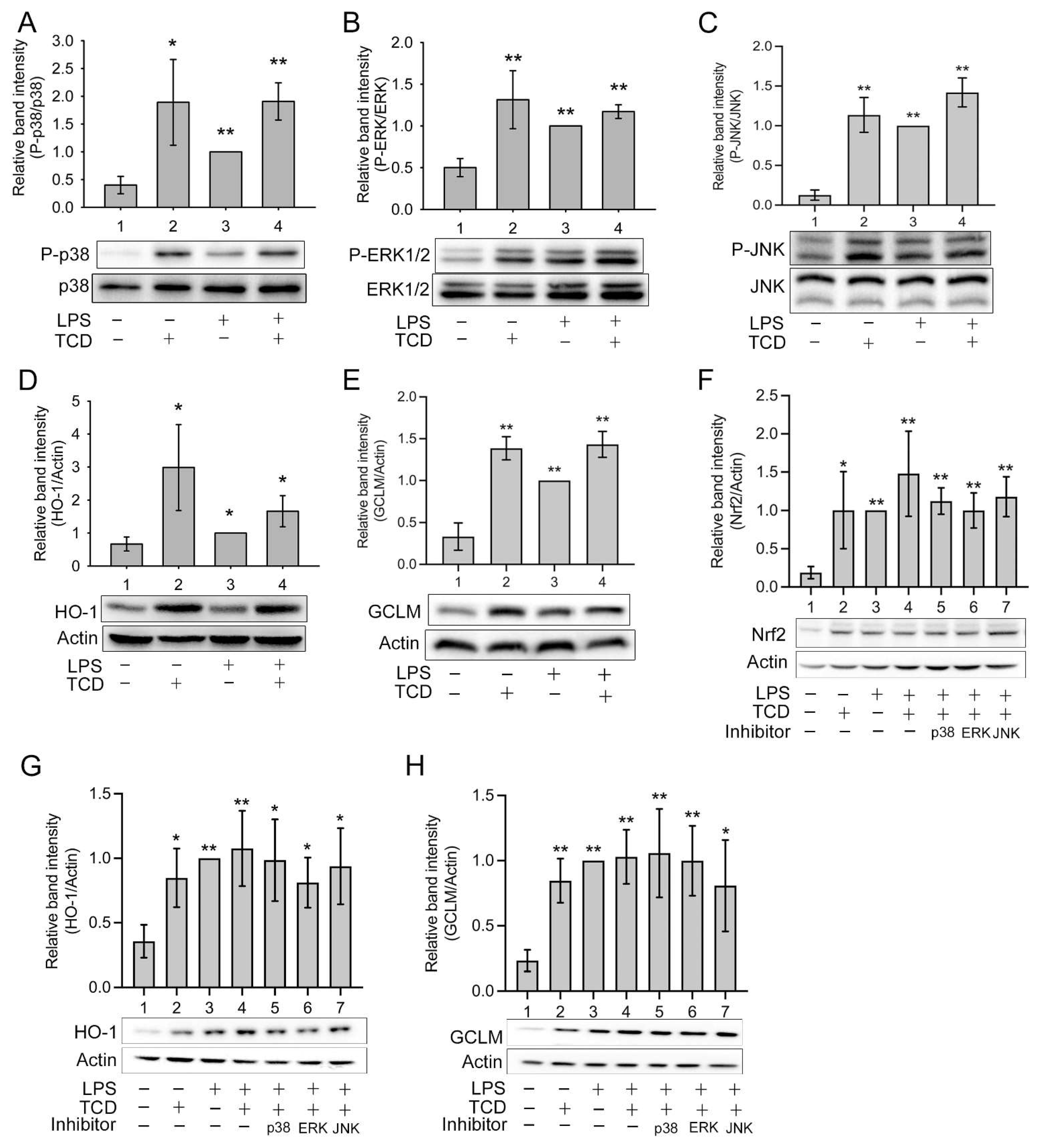 Ijms 23 01071 g008 550