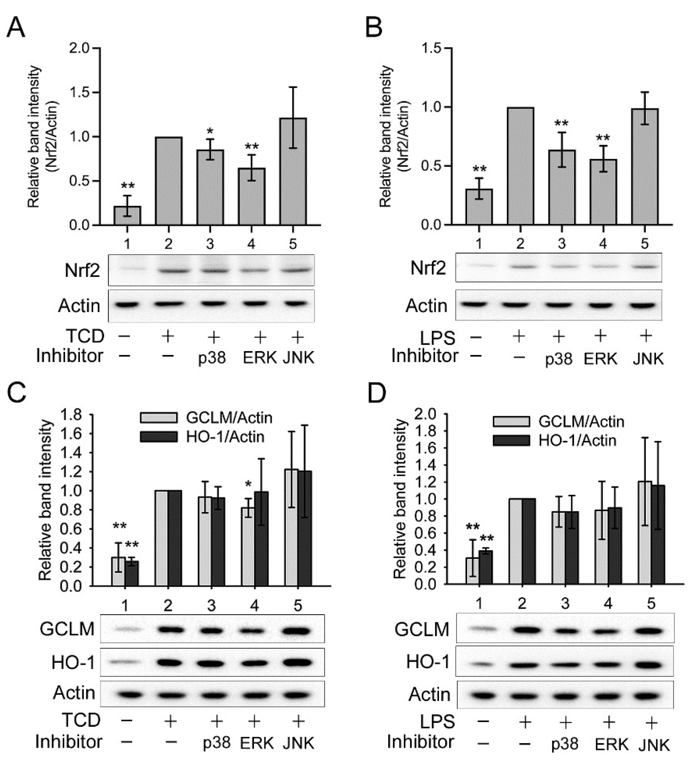 Ijms 23 01071 g009 550