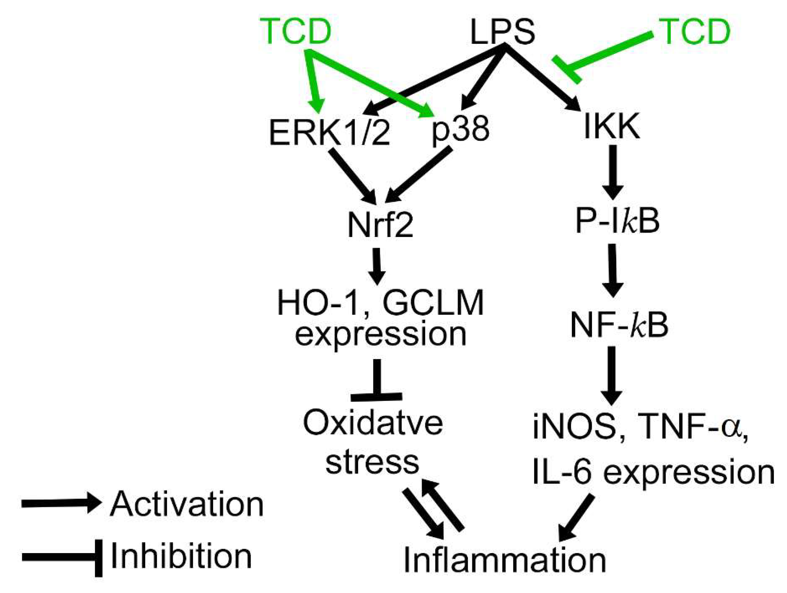 Ijms 23 01071 g010 550