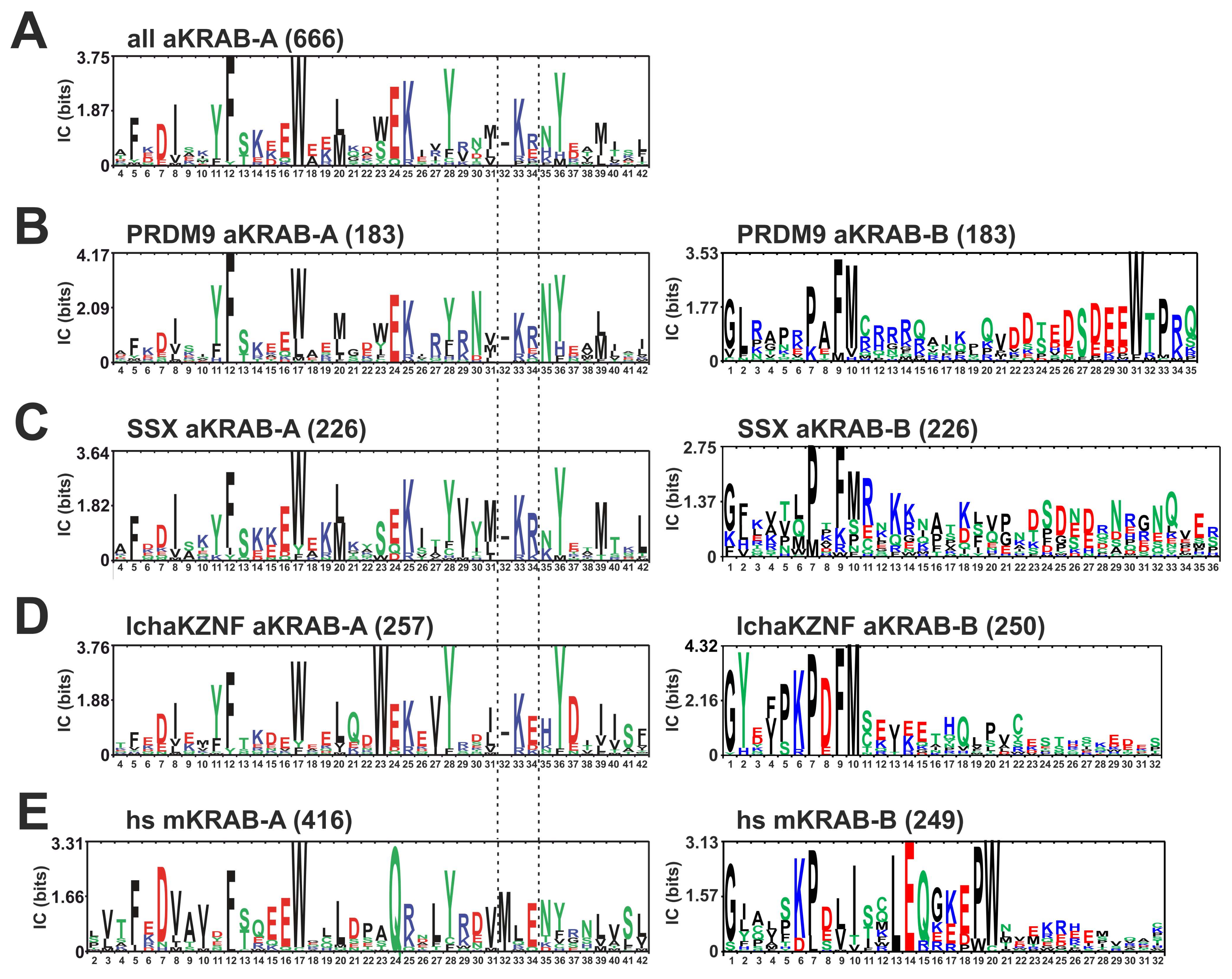 Ijms Free Full Text The Krab Domain Of Znf10 Guides The Identification Of Specific Amino Acids That Transform The Ancestral Krab A Related Domain Present In Human Prdm9 Into A Canonical Modern Krab A