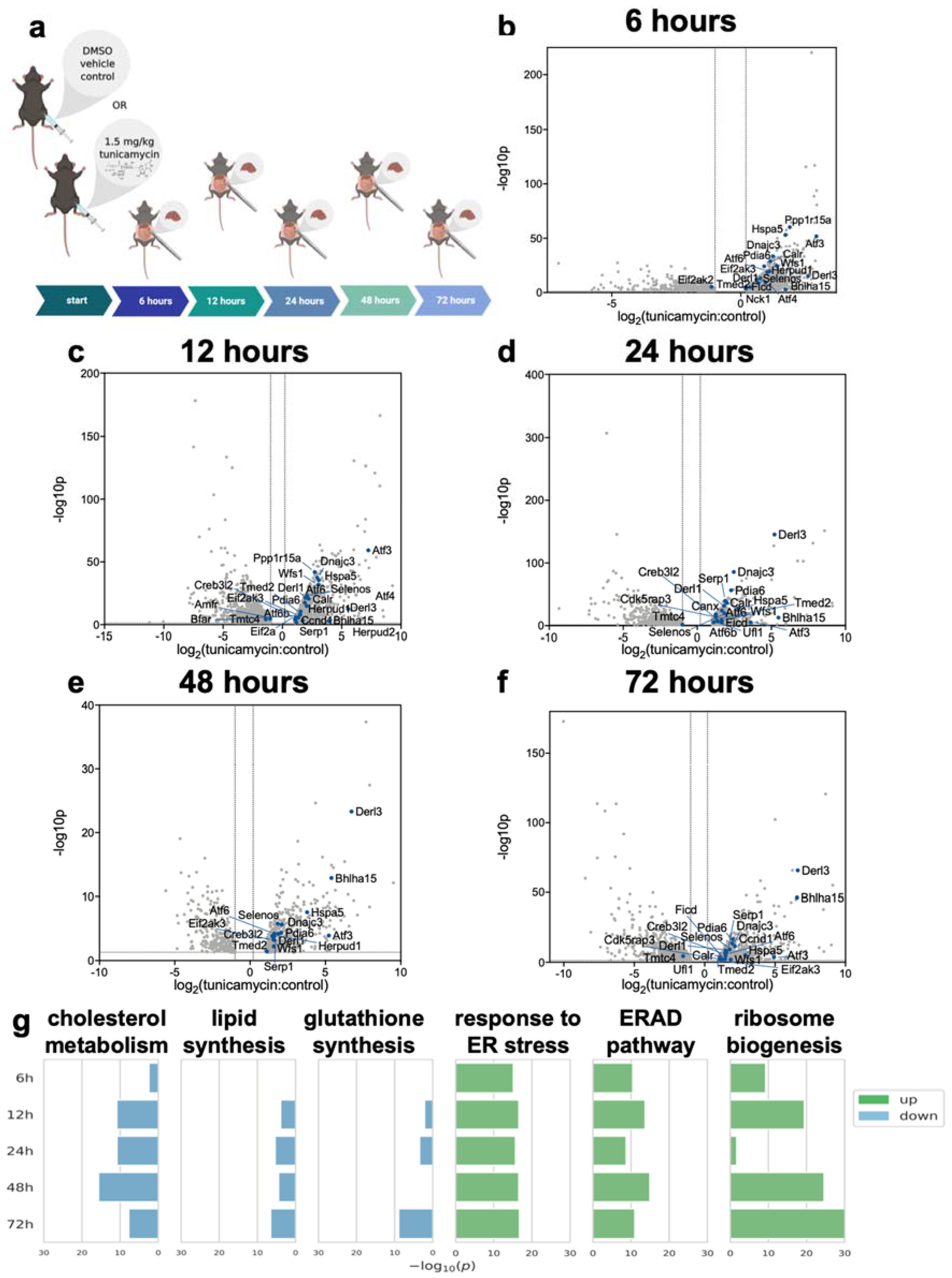 Ijms 23 01073 g001 550