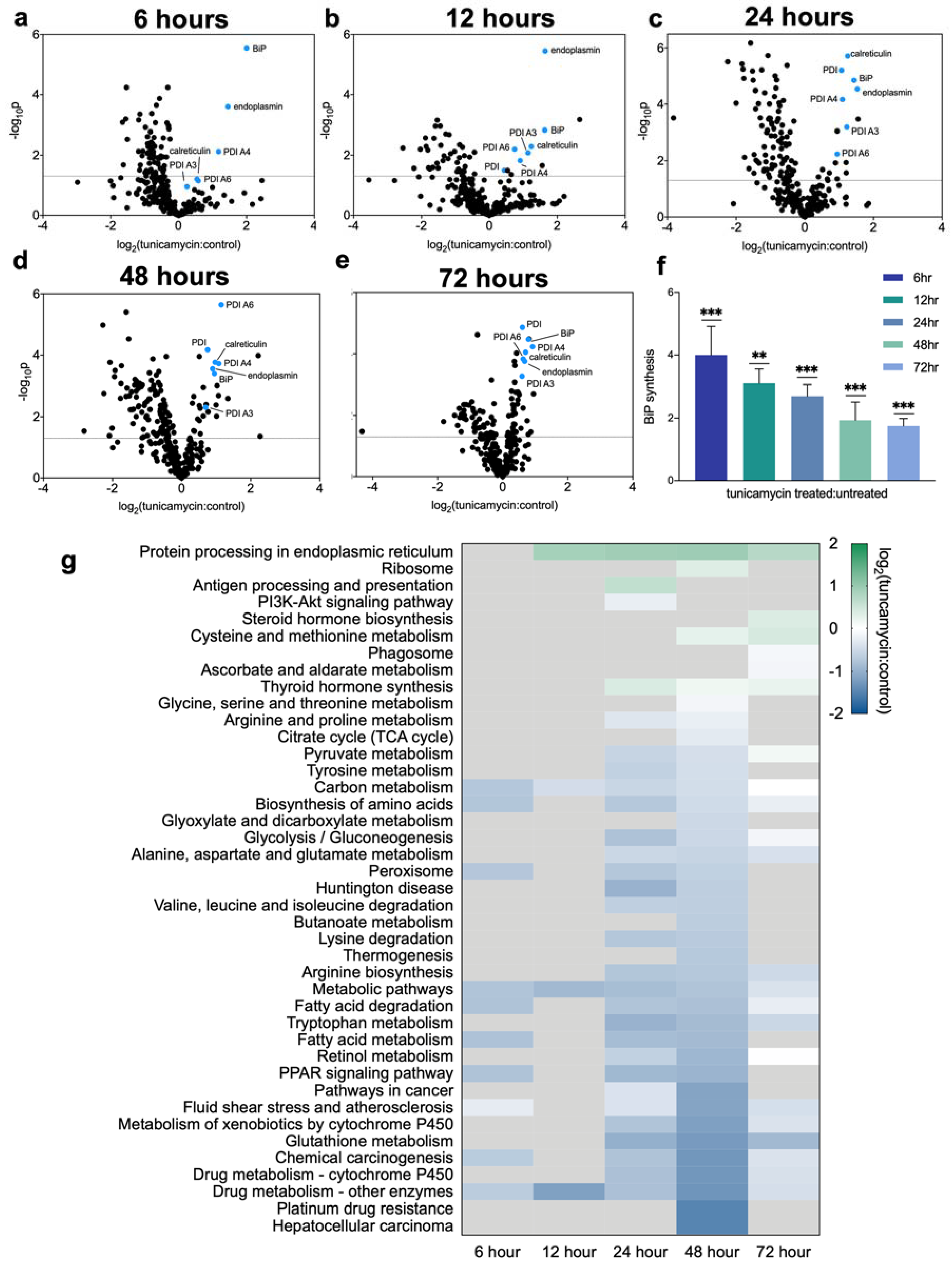 Ijms 23 01073 g002 550