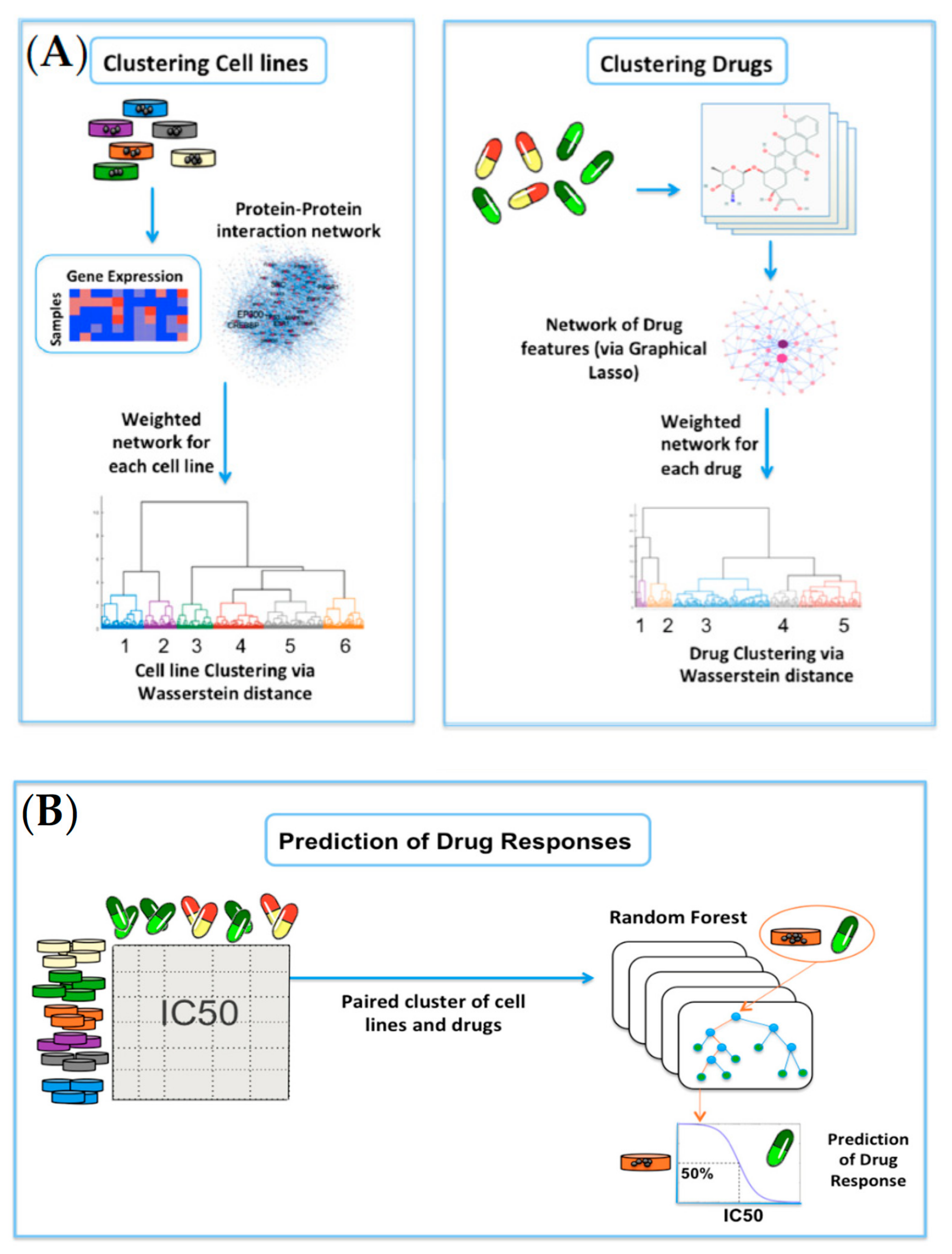 Ijms 23 01074 g004 550