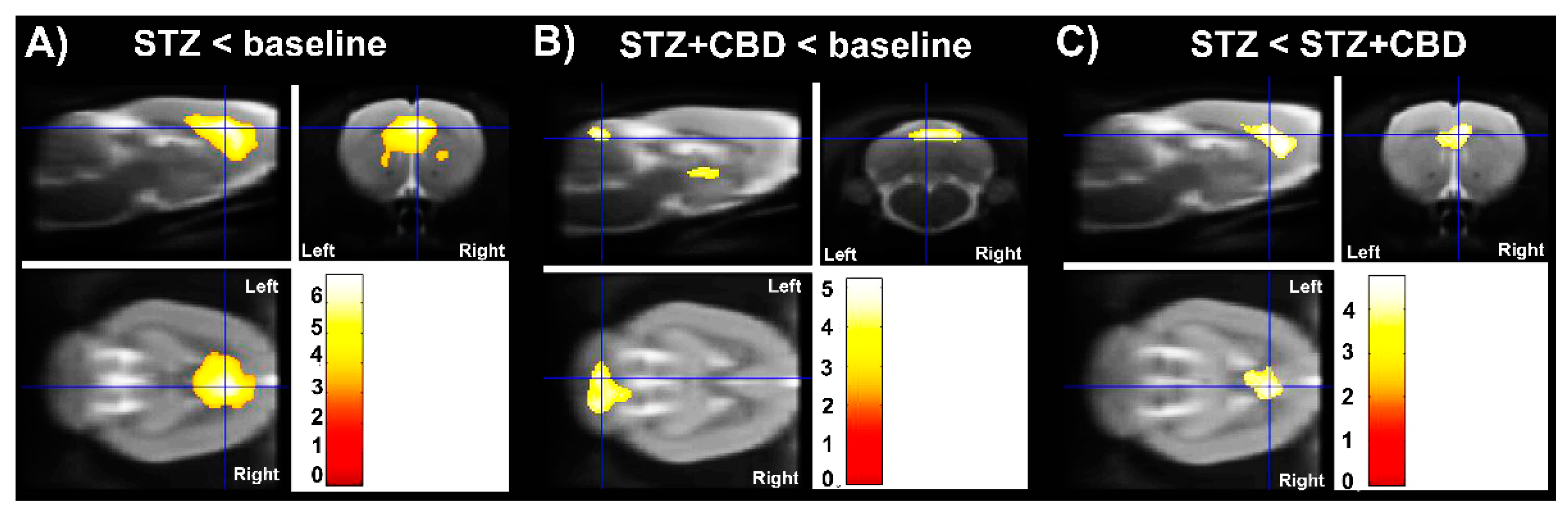 Ijms 23 01076 g005 550