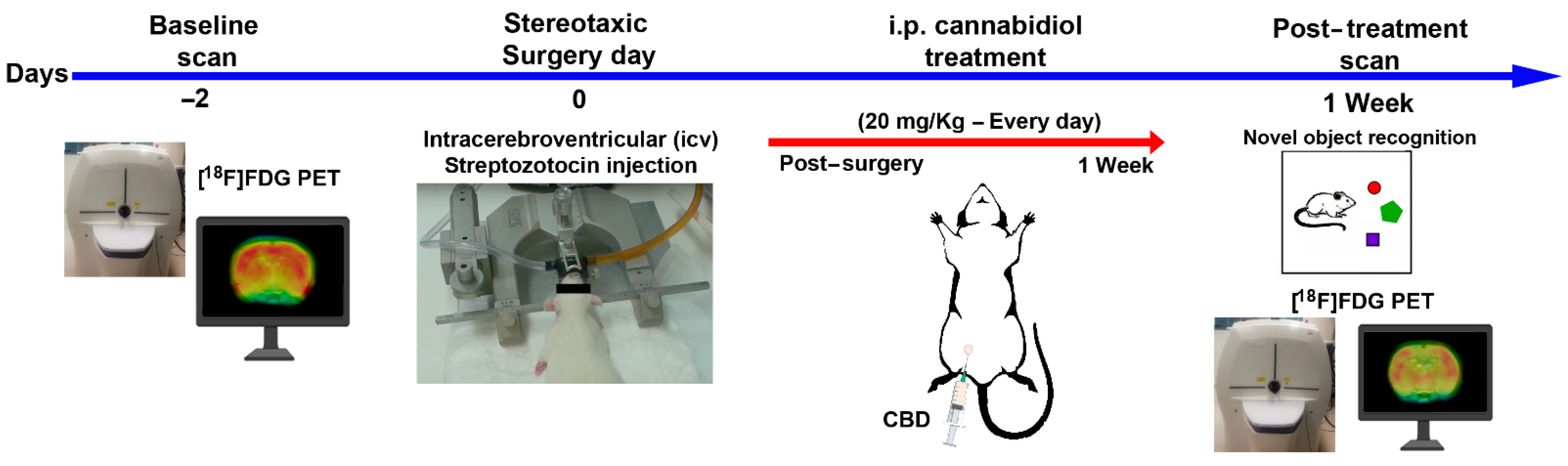 Ijms 23 01076 g006 550