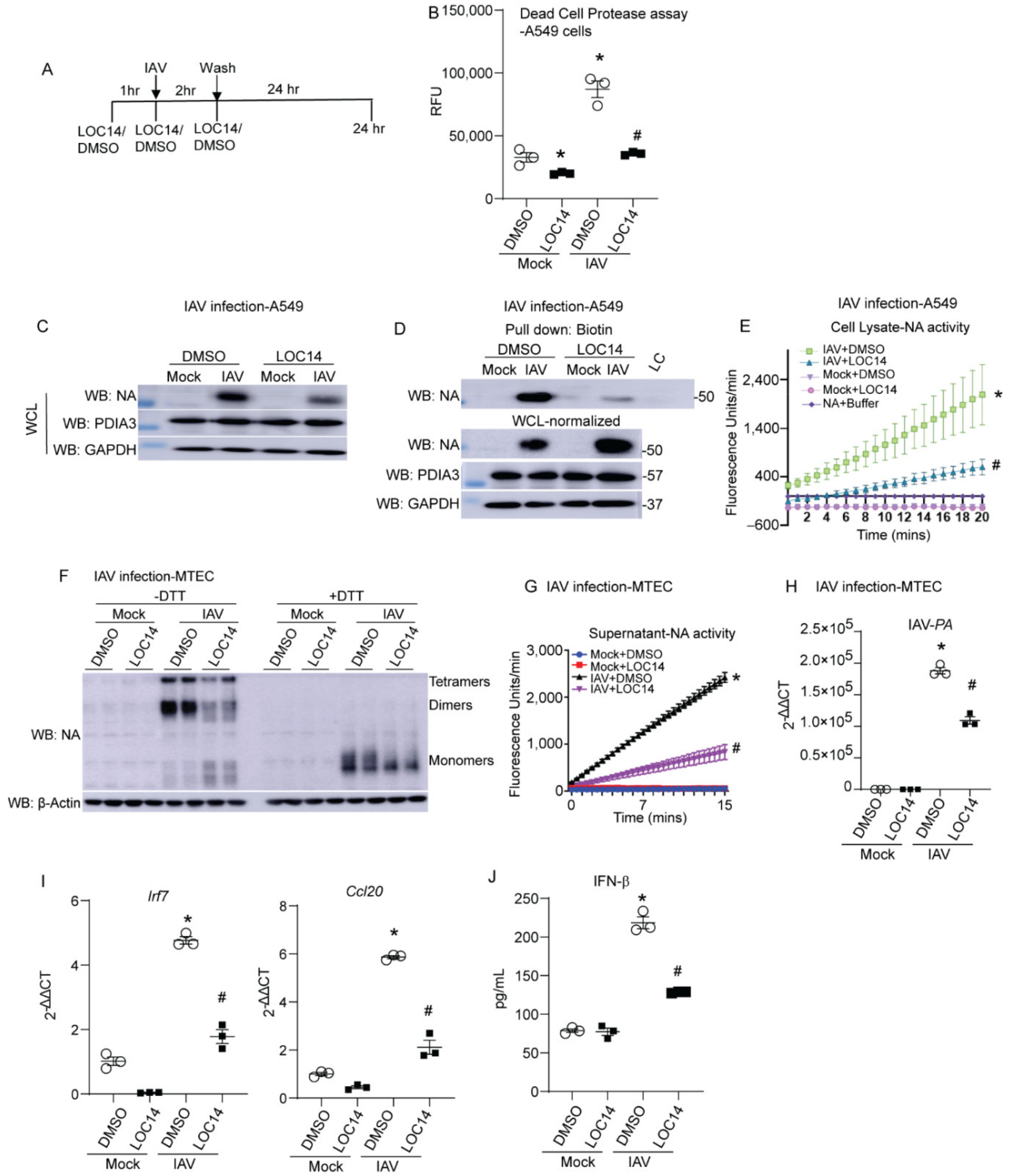 Ijms 23 01078 g002 550