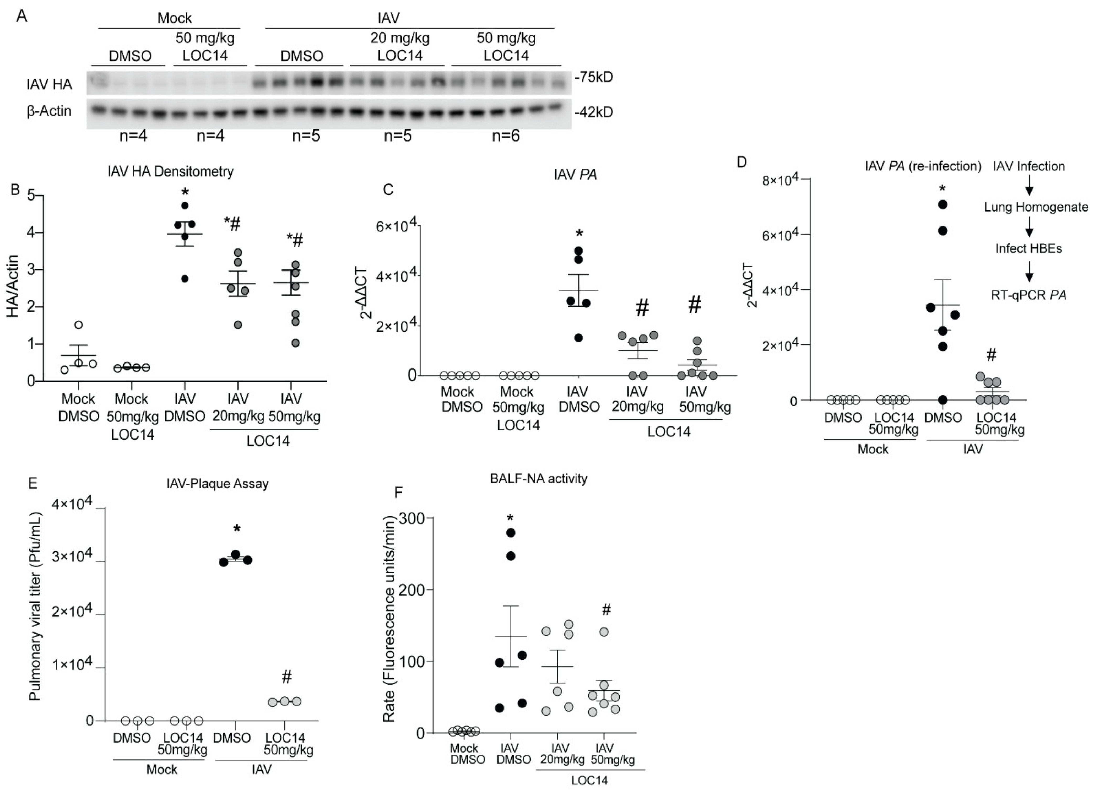 Ijms 23 01078 g004 550