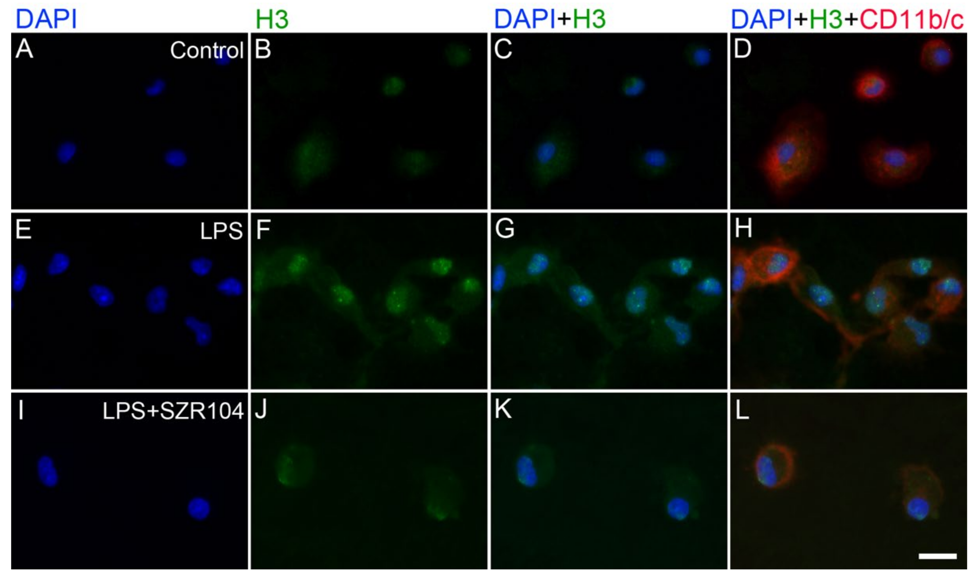 Ijms 23 01079 g006 550