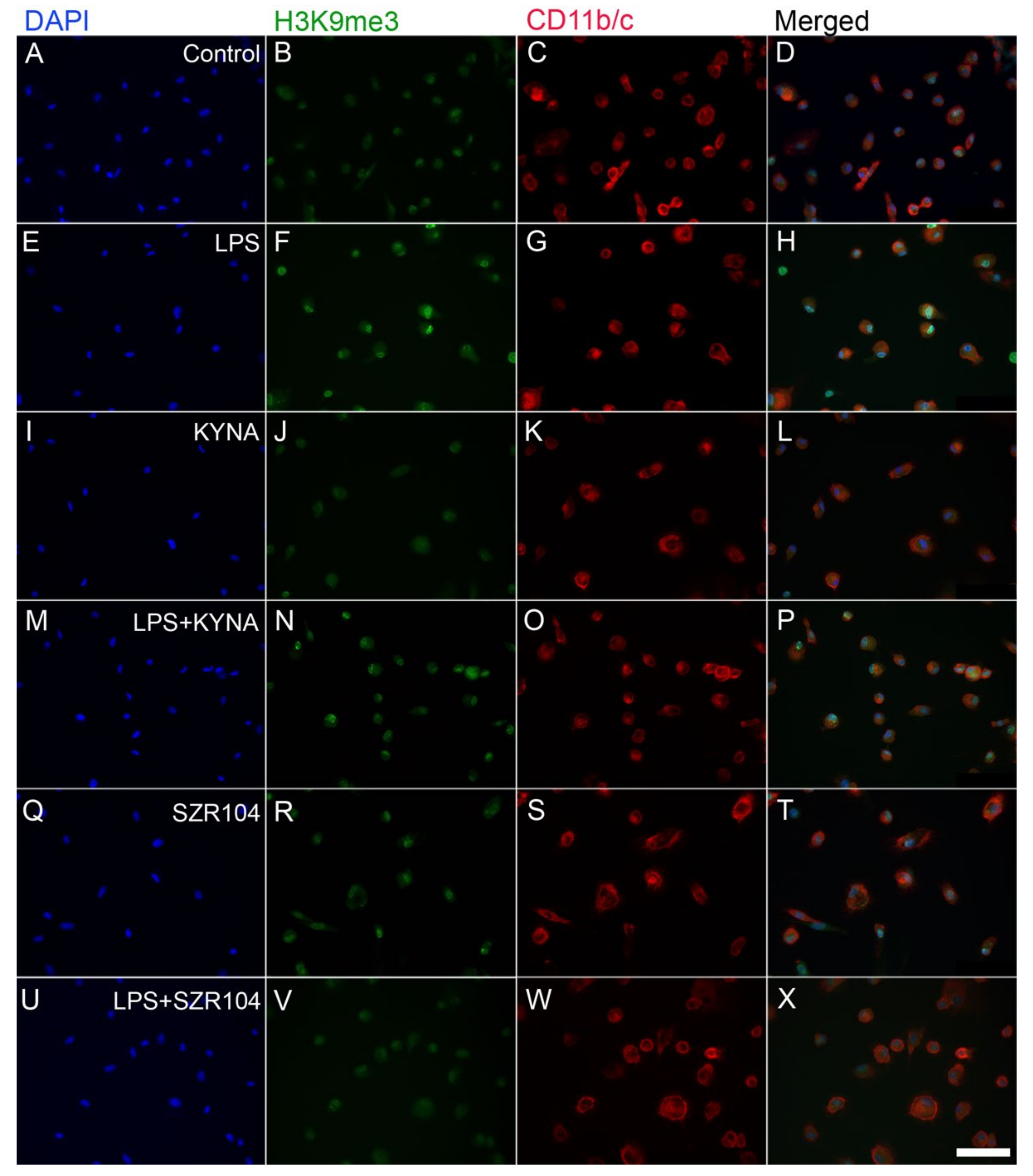 Ijms 23 01079 g009 550