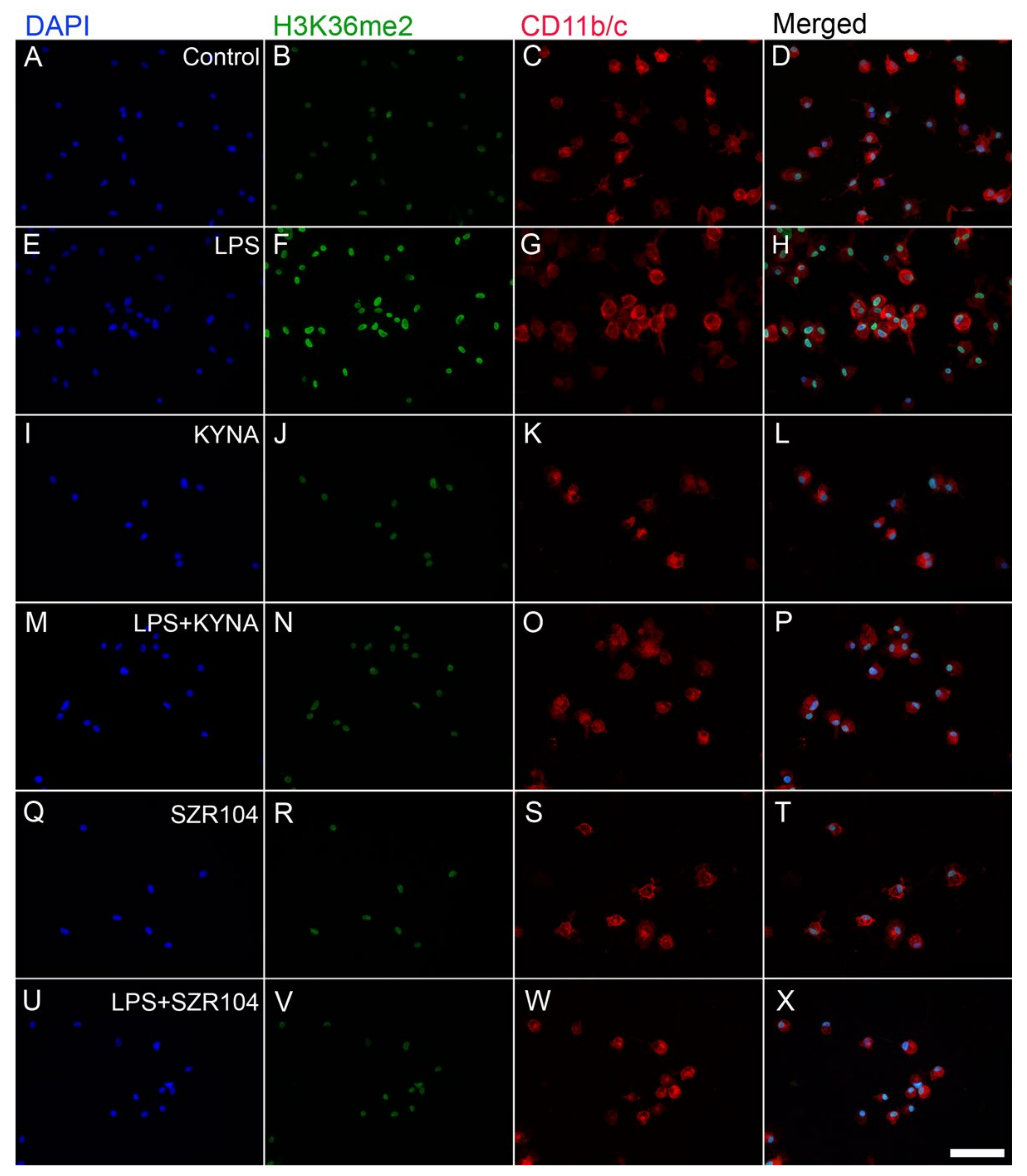 Ijms 23 01079 g012 550