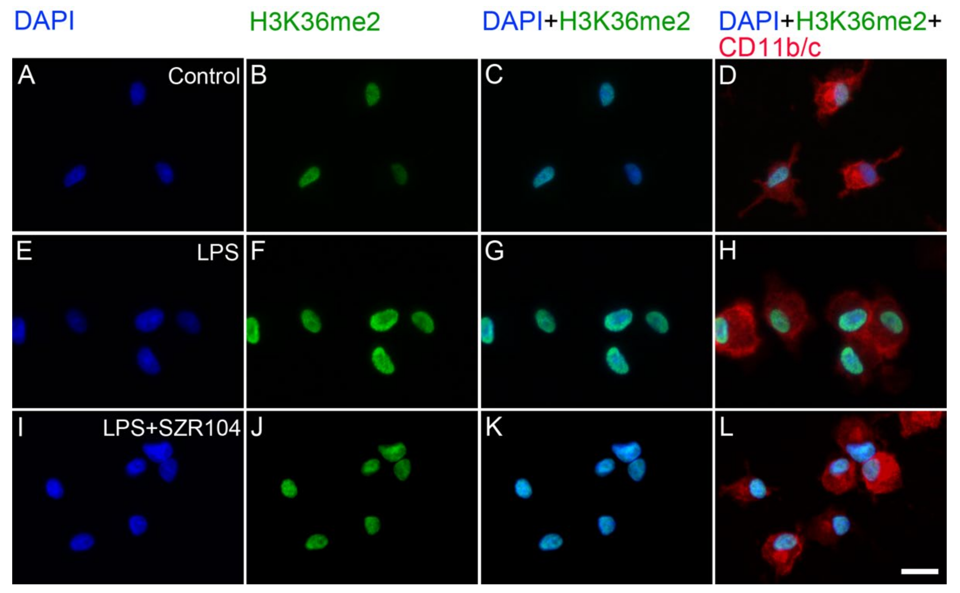 Ijms 23 01079 g013 550