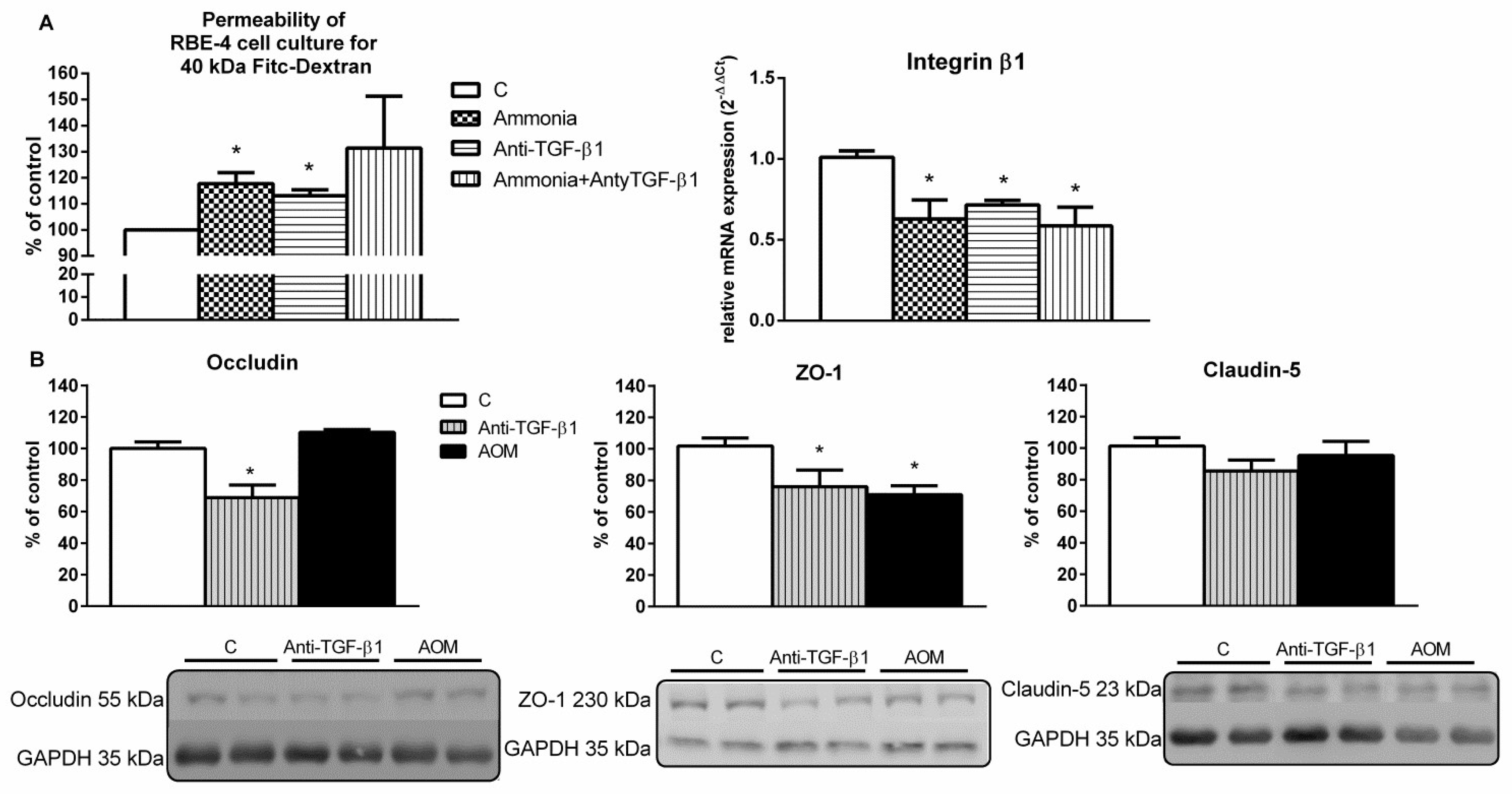 Ijms 23 01081 g002 Ijms 23 01081 g002