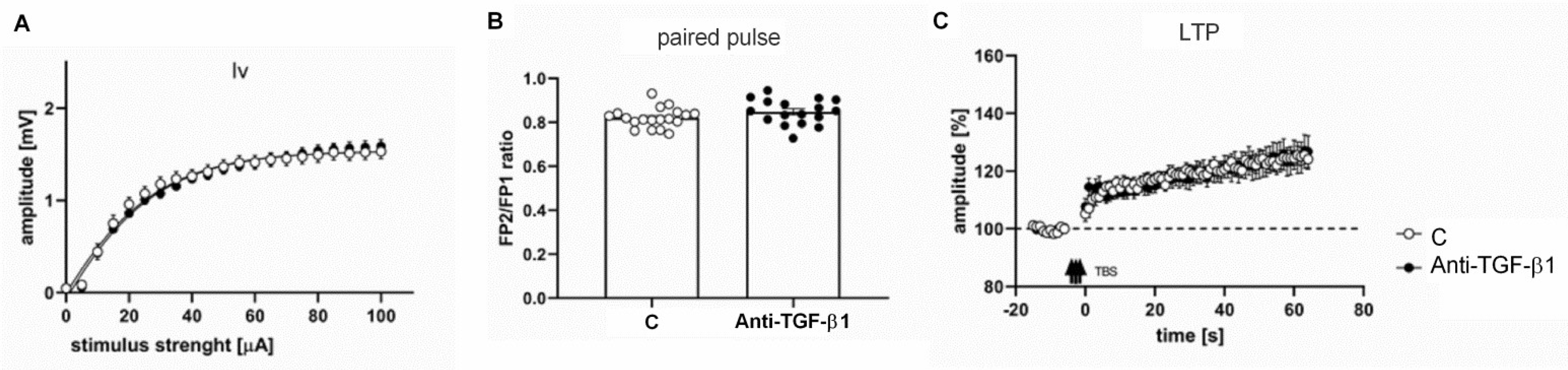 Ijms 23 01081 g006 Ijms 23 01081 g006