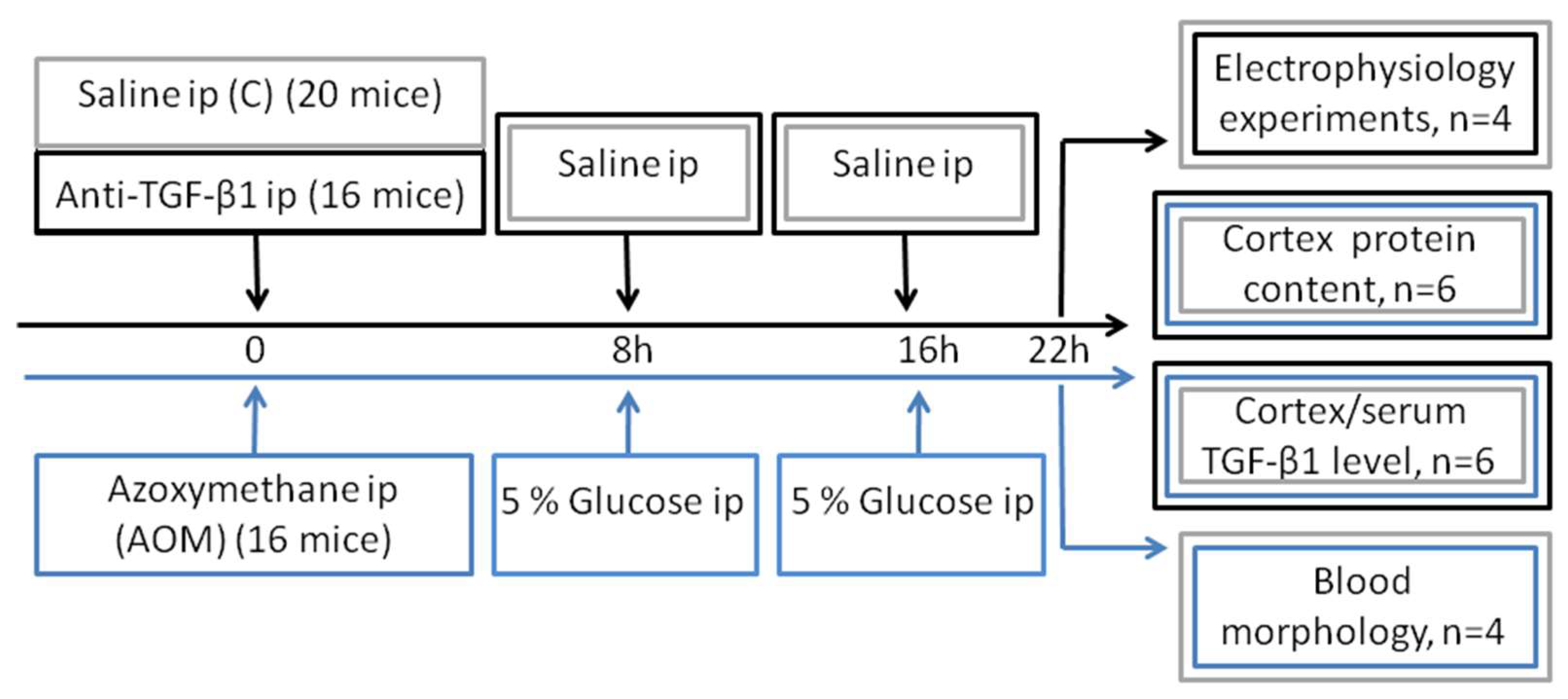 Ijms 23 01081 g007 Ijms 23 01081 g007