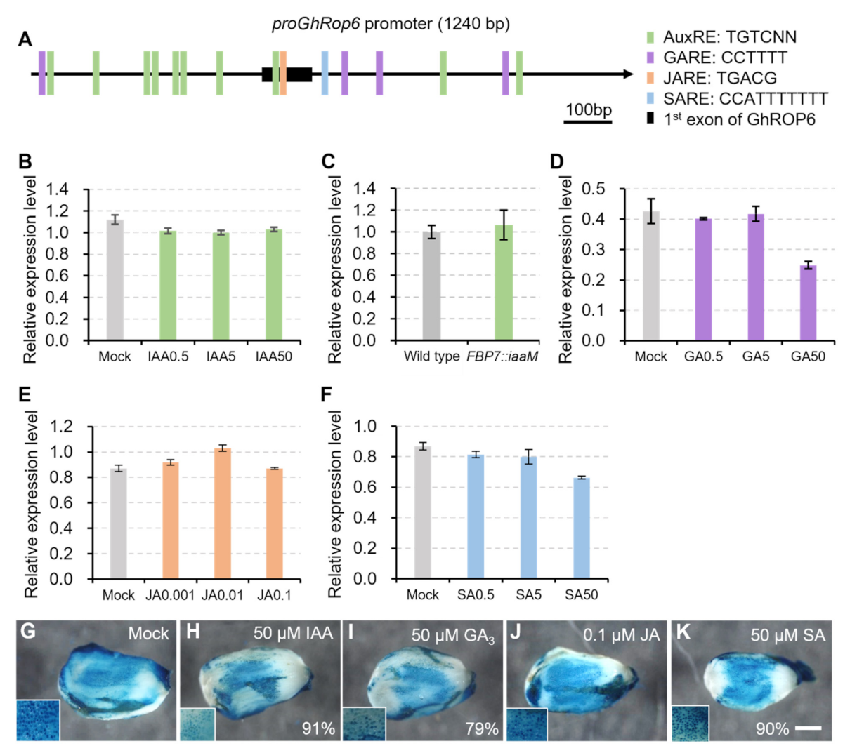 Ijms 23 01087 g006 550