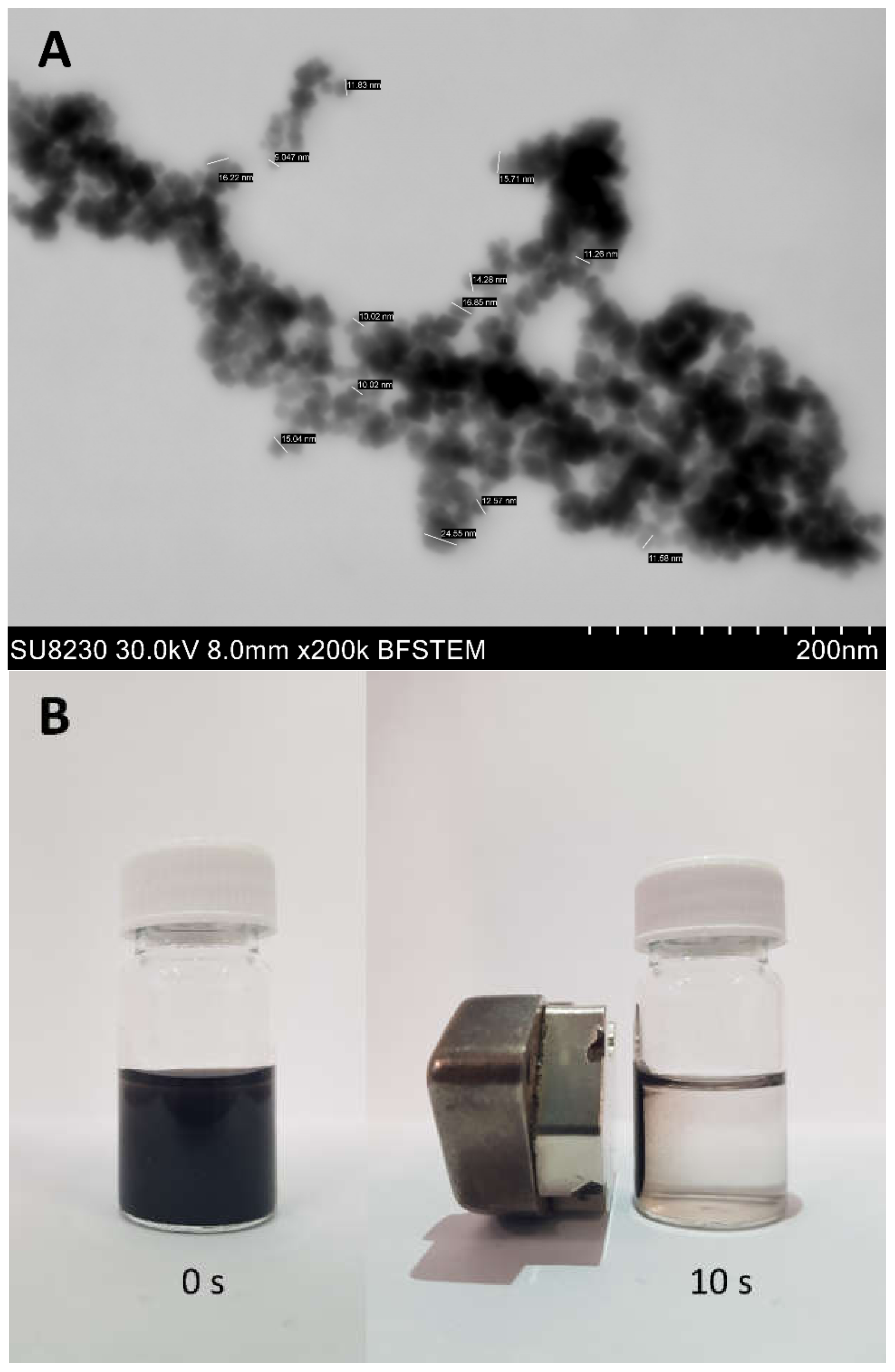 Ijms 23 01088 g001 550