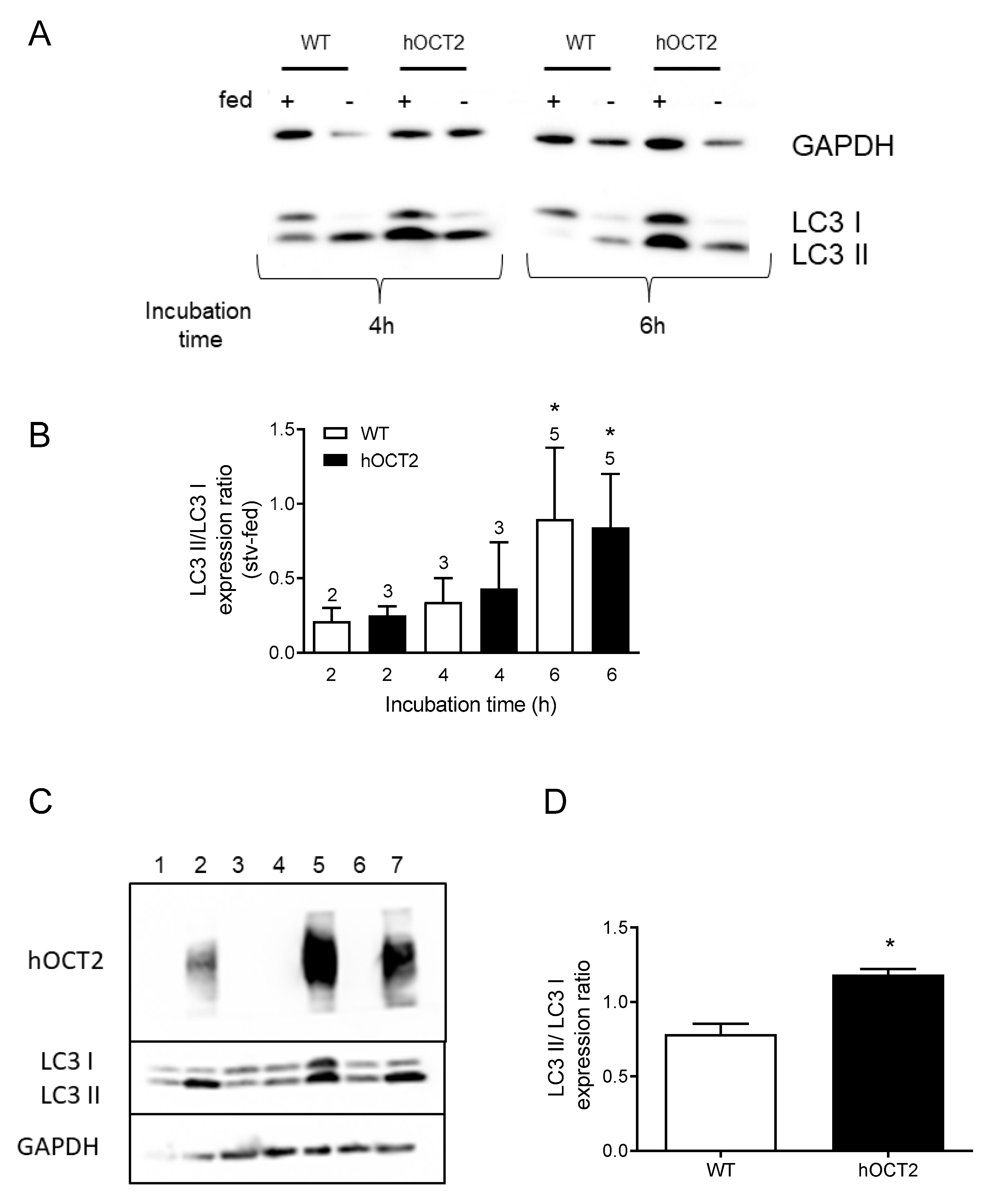Ijms 23 01090 g001 550