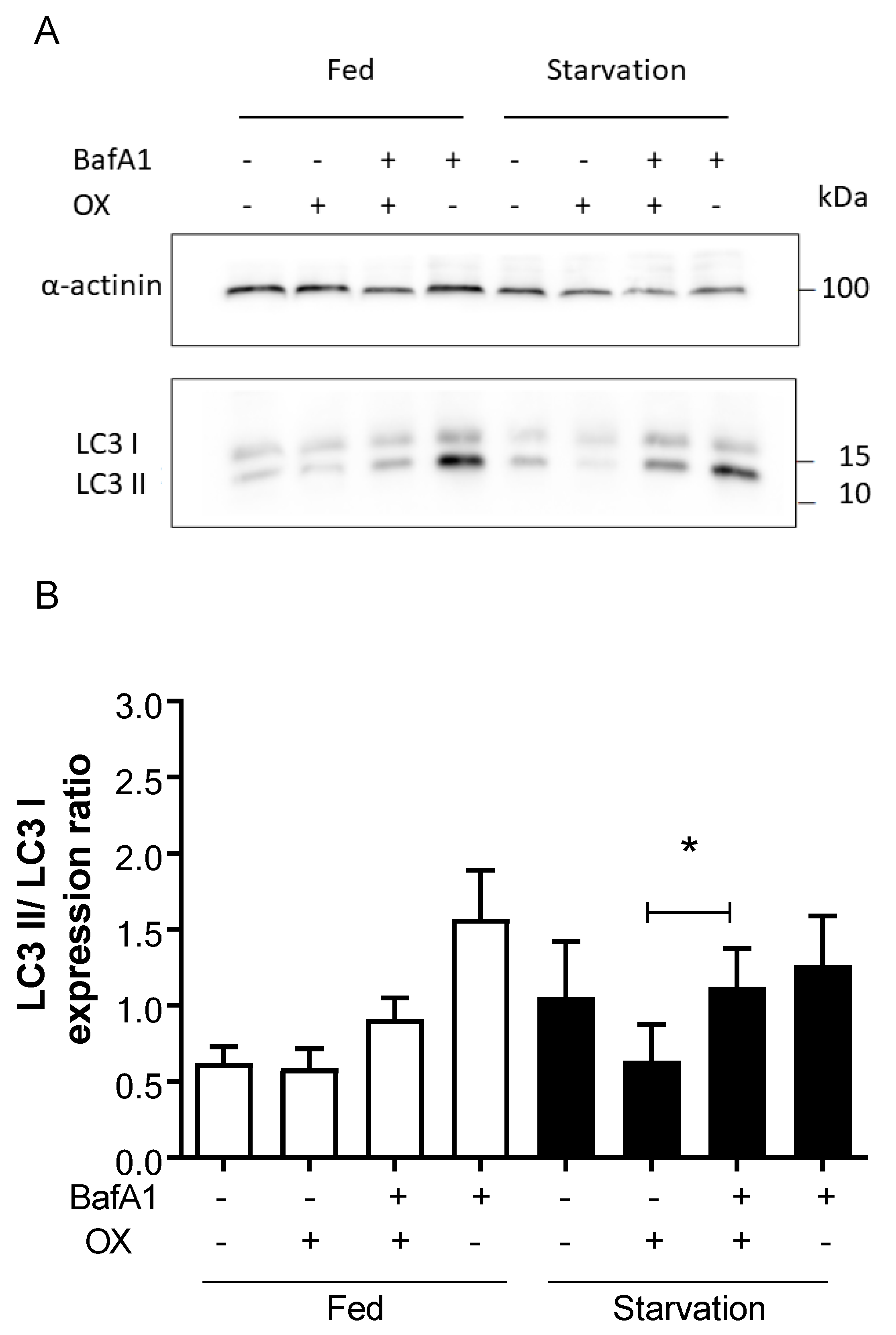 Ijms 23 01090 g004 550