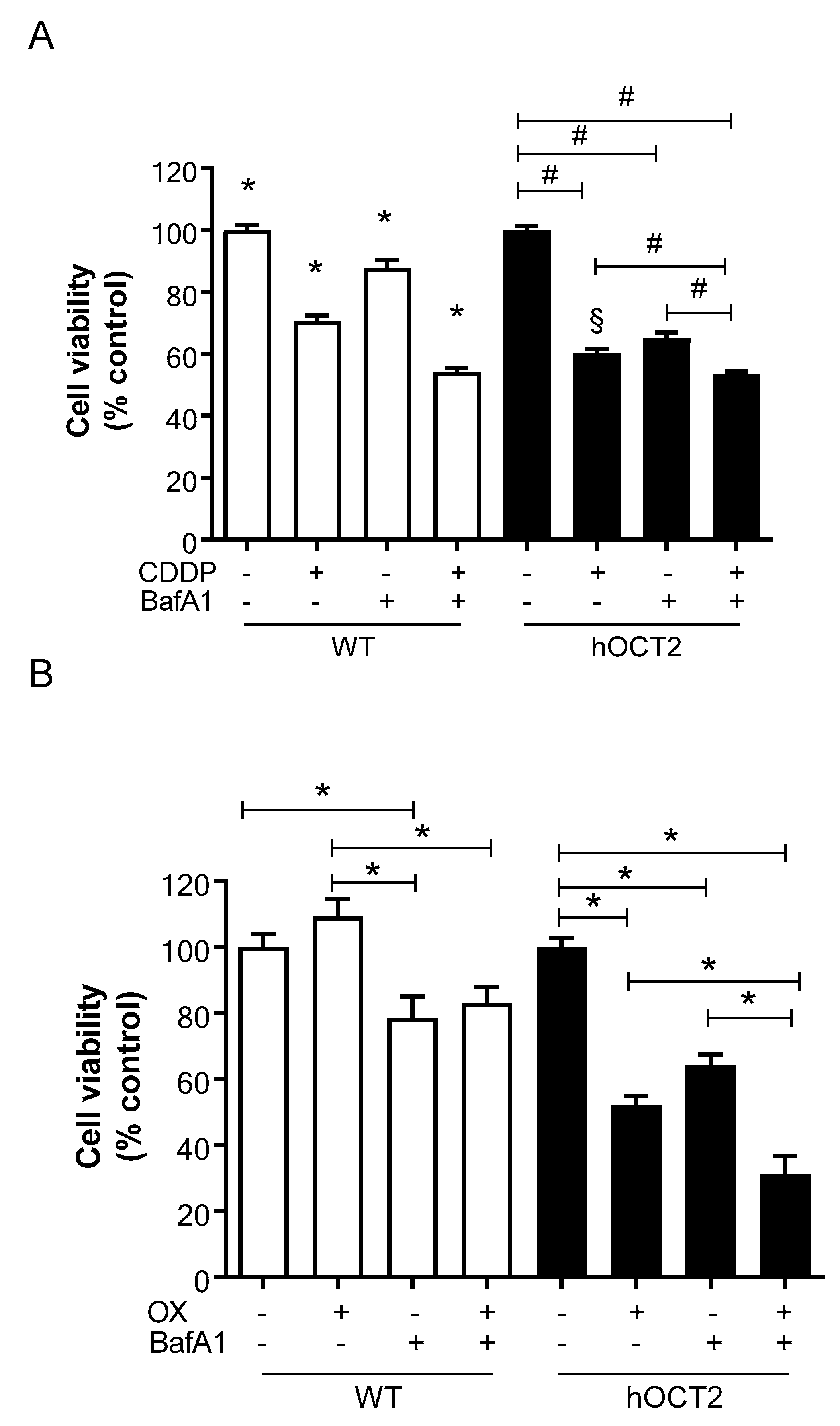 Ijms 23 01090 g006 550