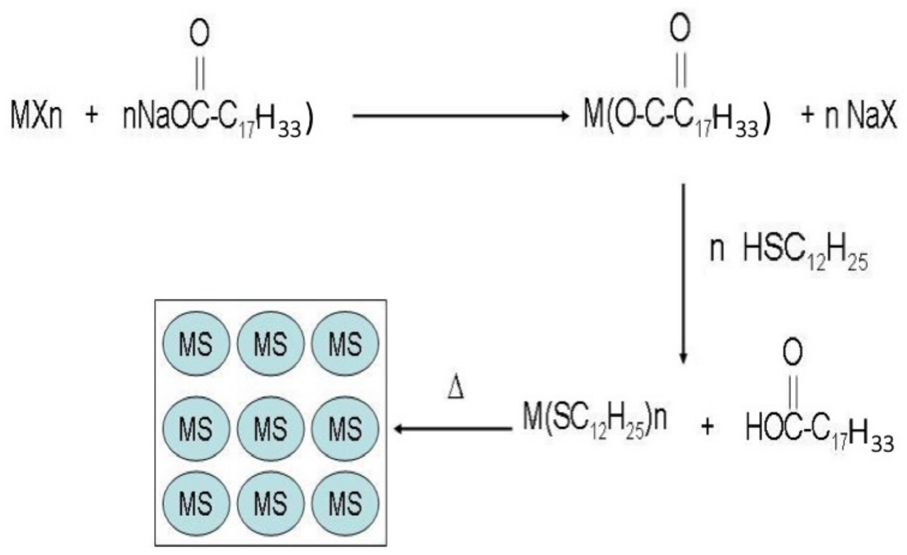 Ijms 23 01093 g002 550