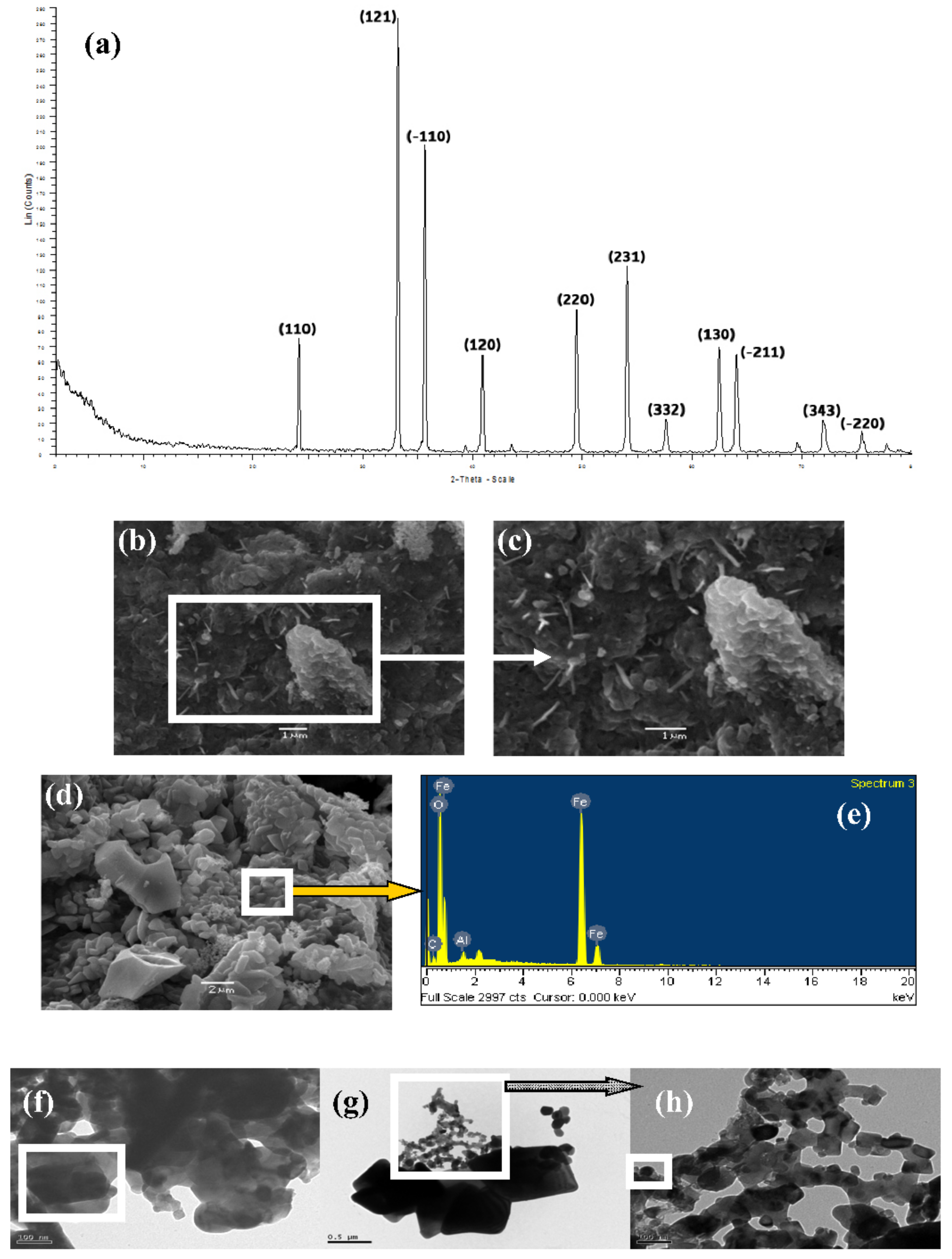 Ijms 23 01093 g006 550